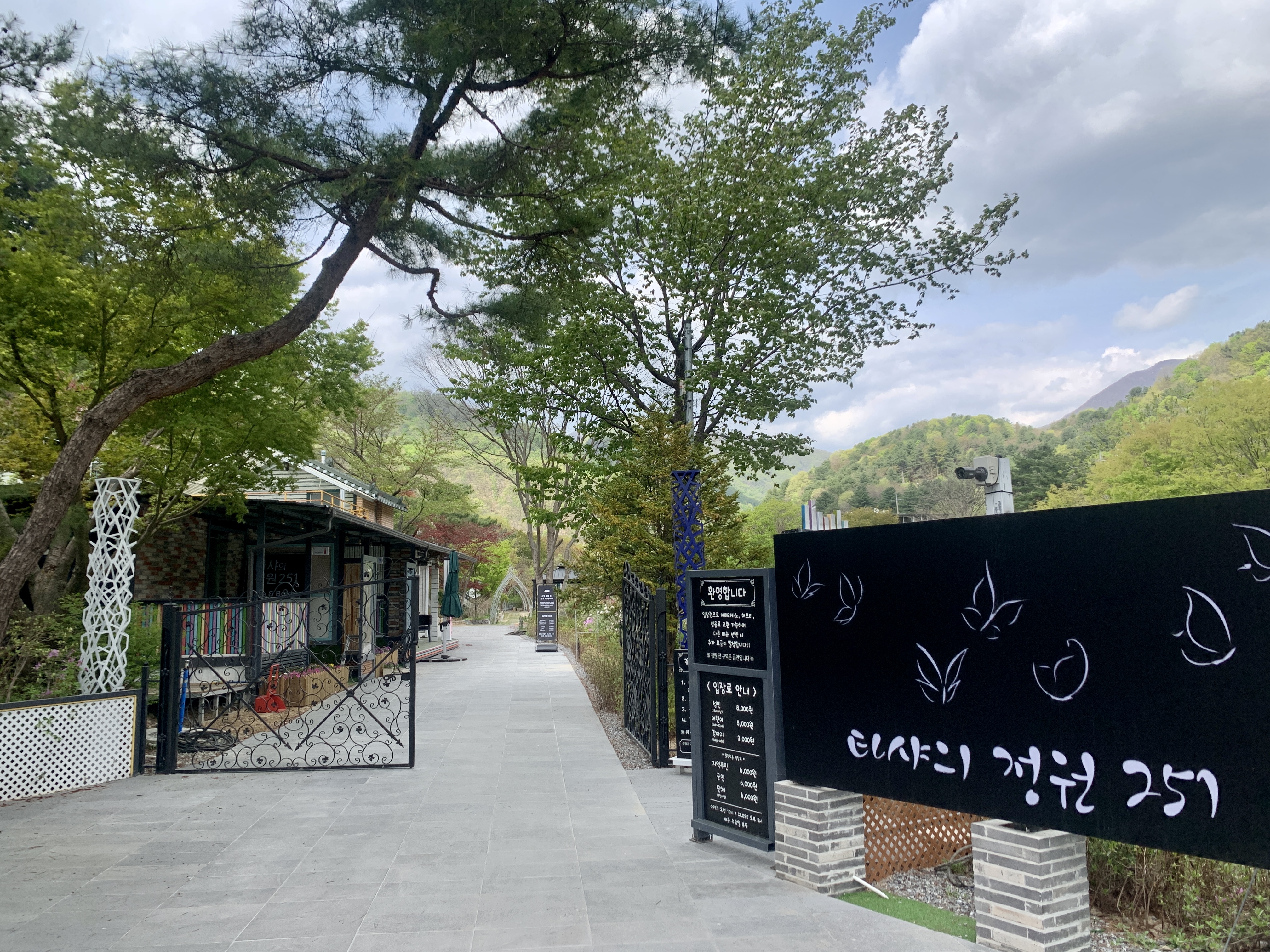 타샤의정원251