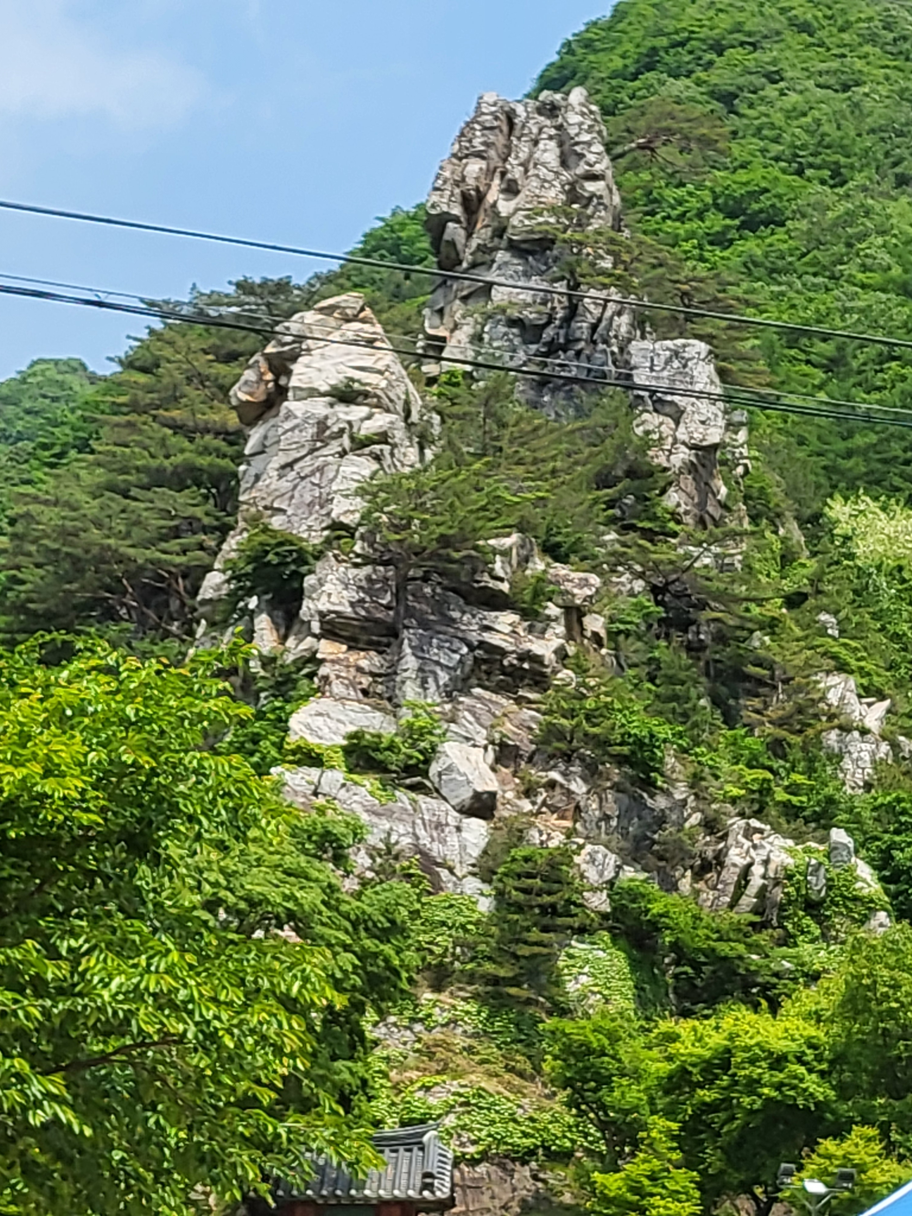 청하신궁