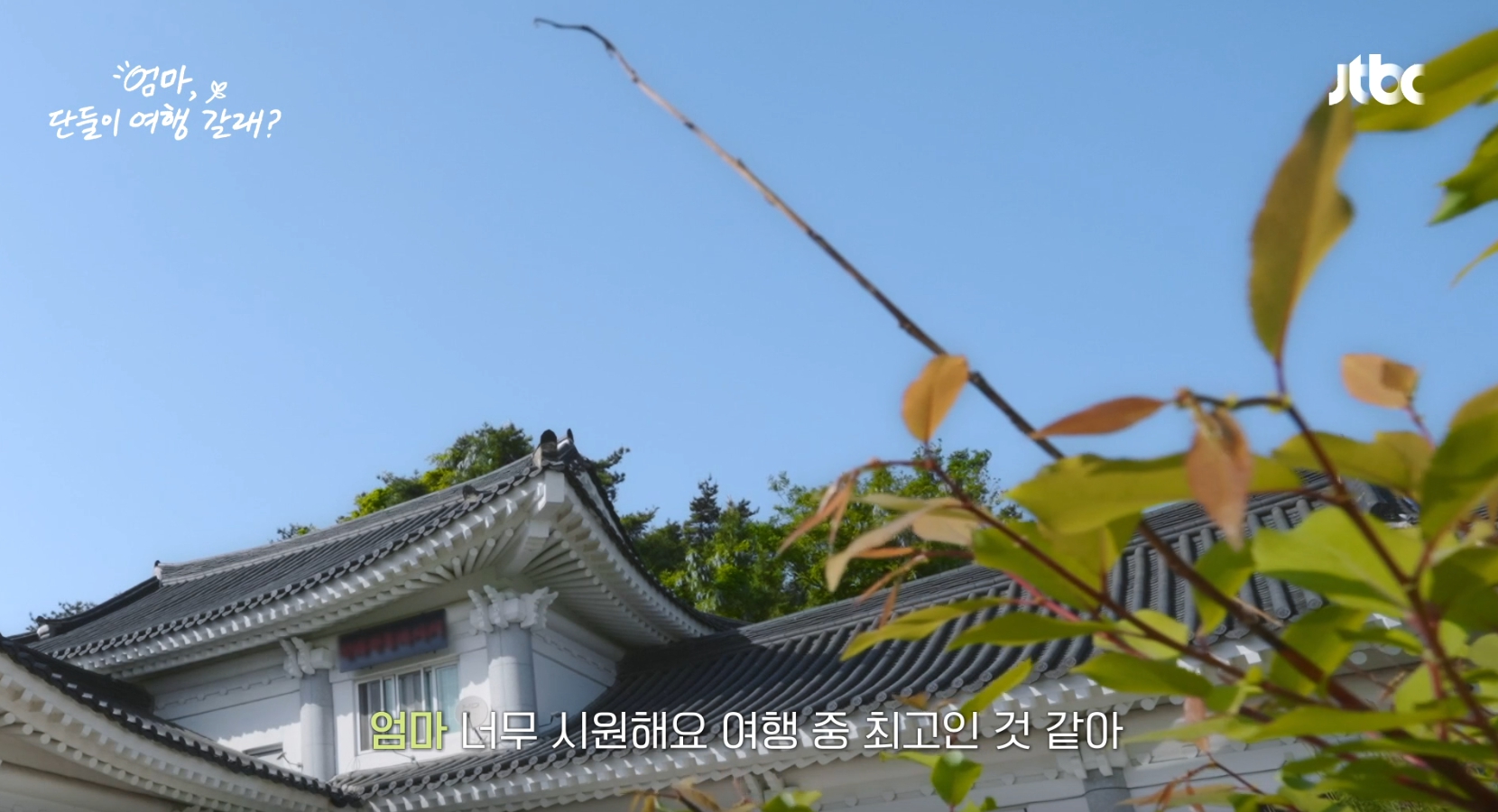 신라전통테라피 경주본점