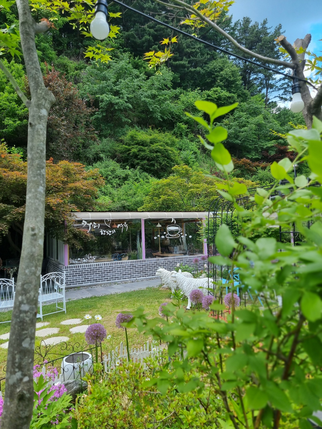 타샤의정원251