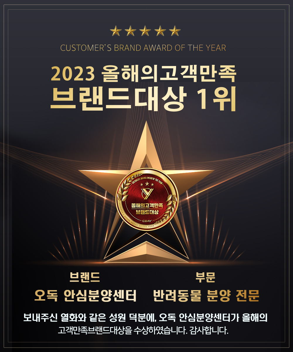 오독안심분양센터 강아지분양 고양이분양 대구점