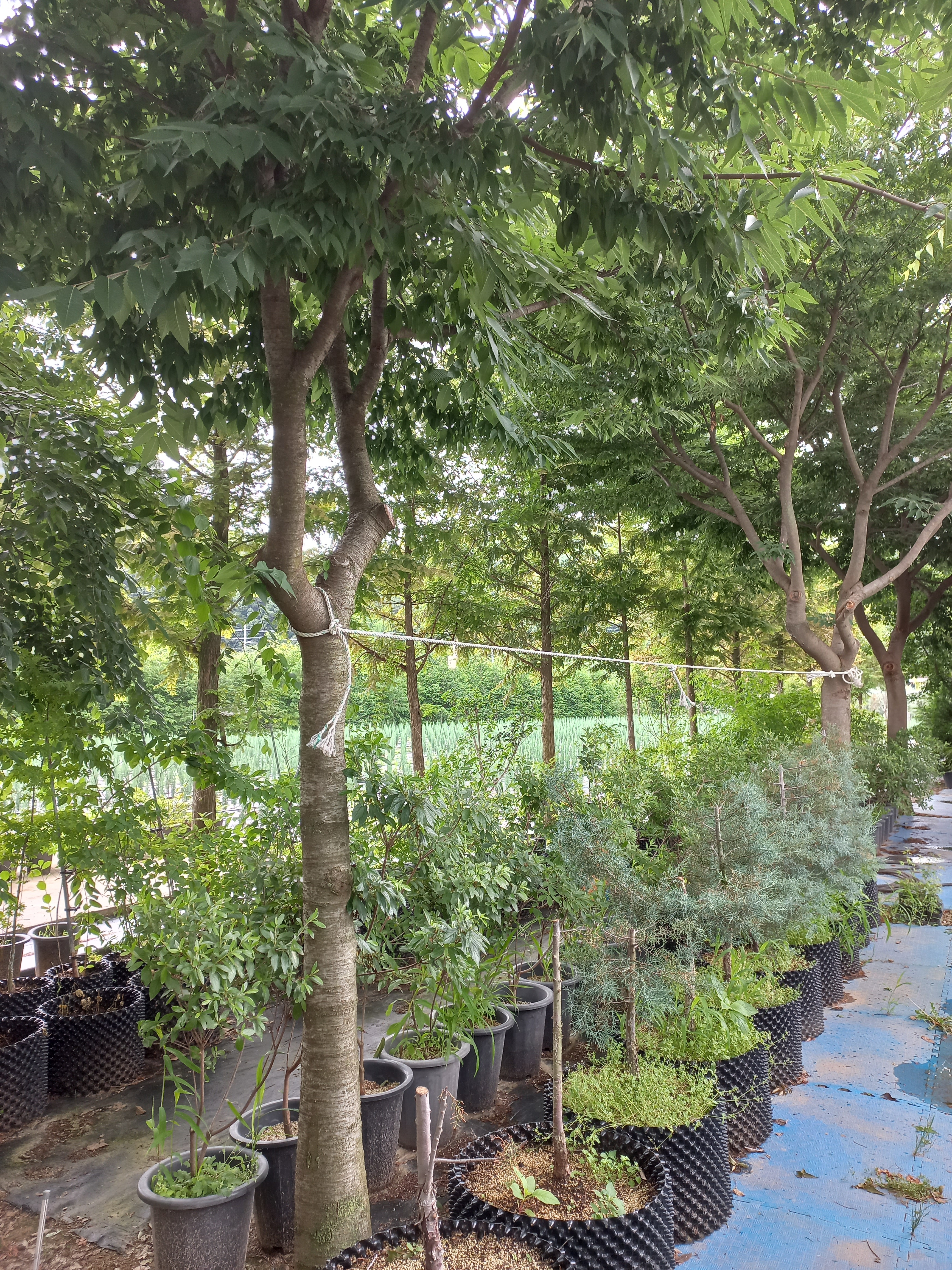 산들농원
