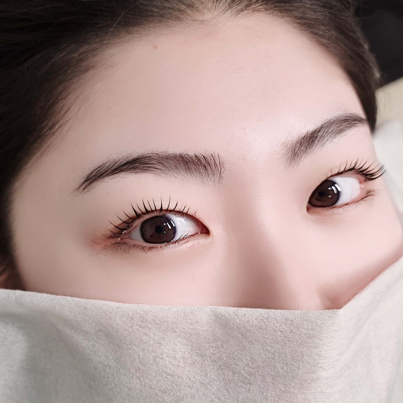 도로시 대표 이미지