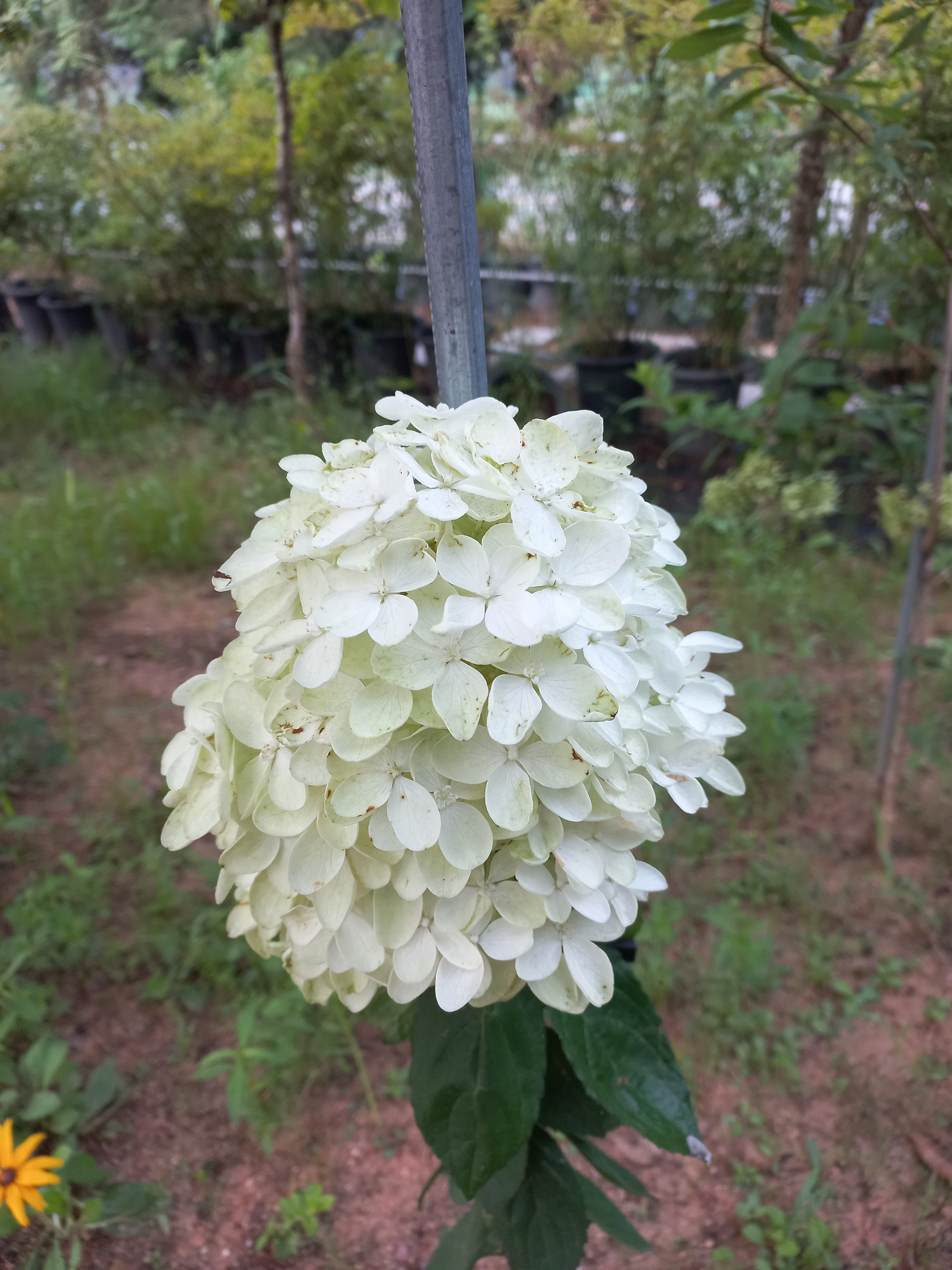 산들농원