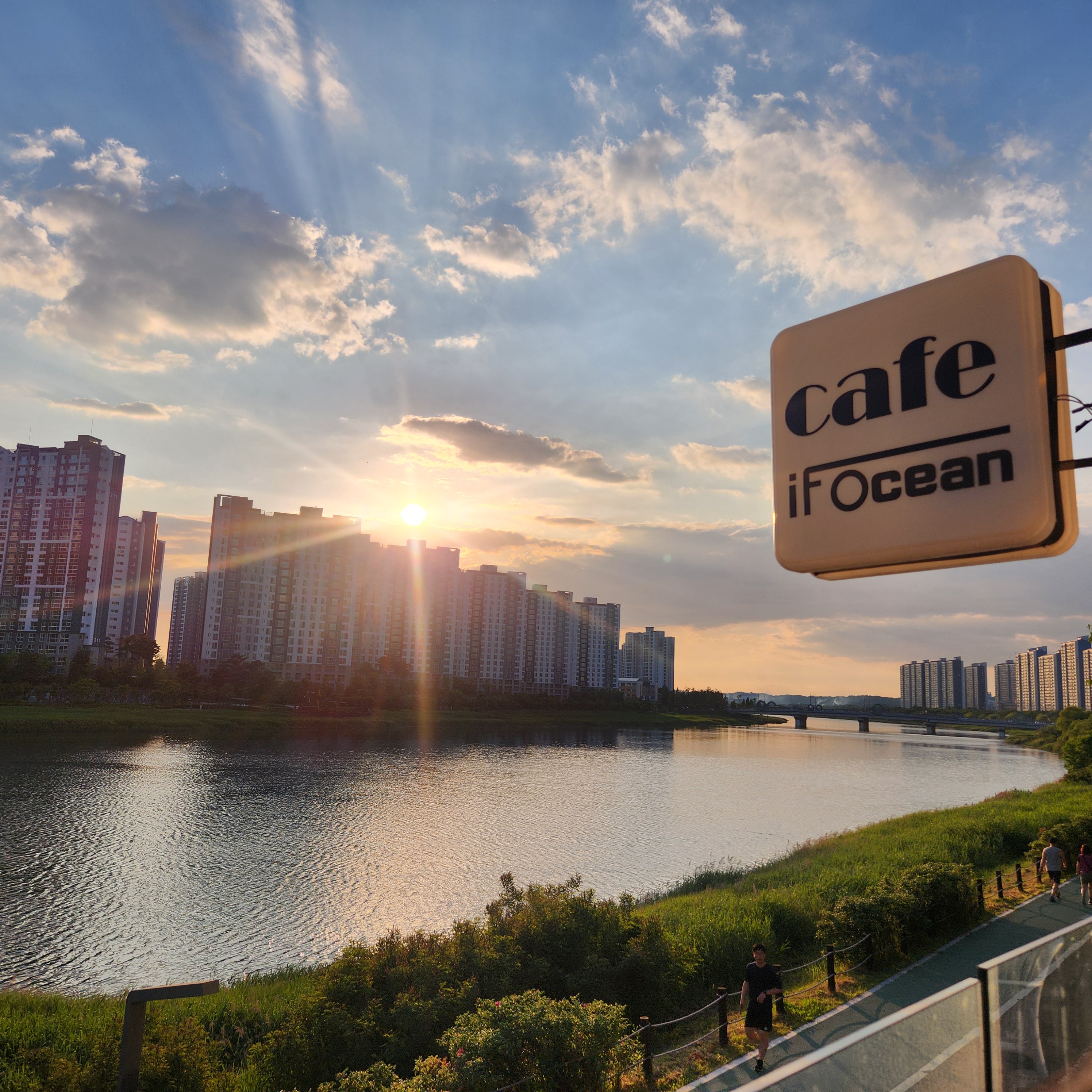 이프오션 대표 이미지