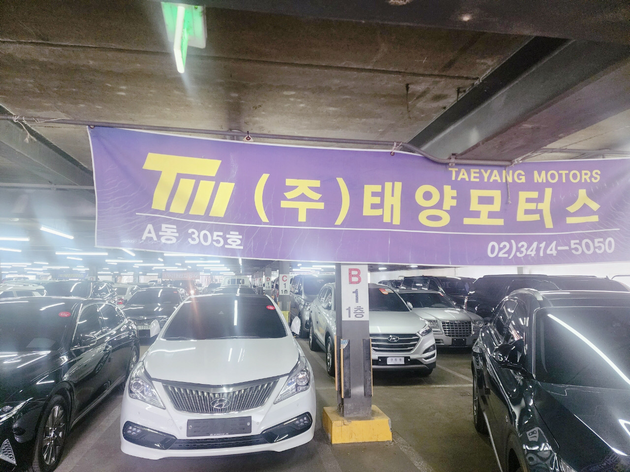 태양모터스