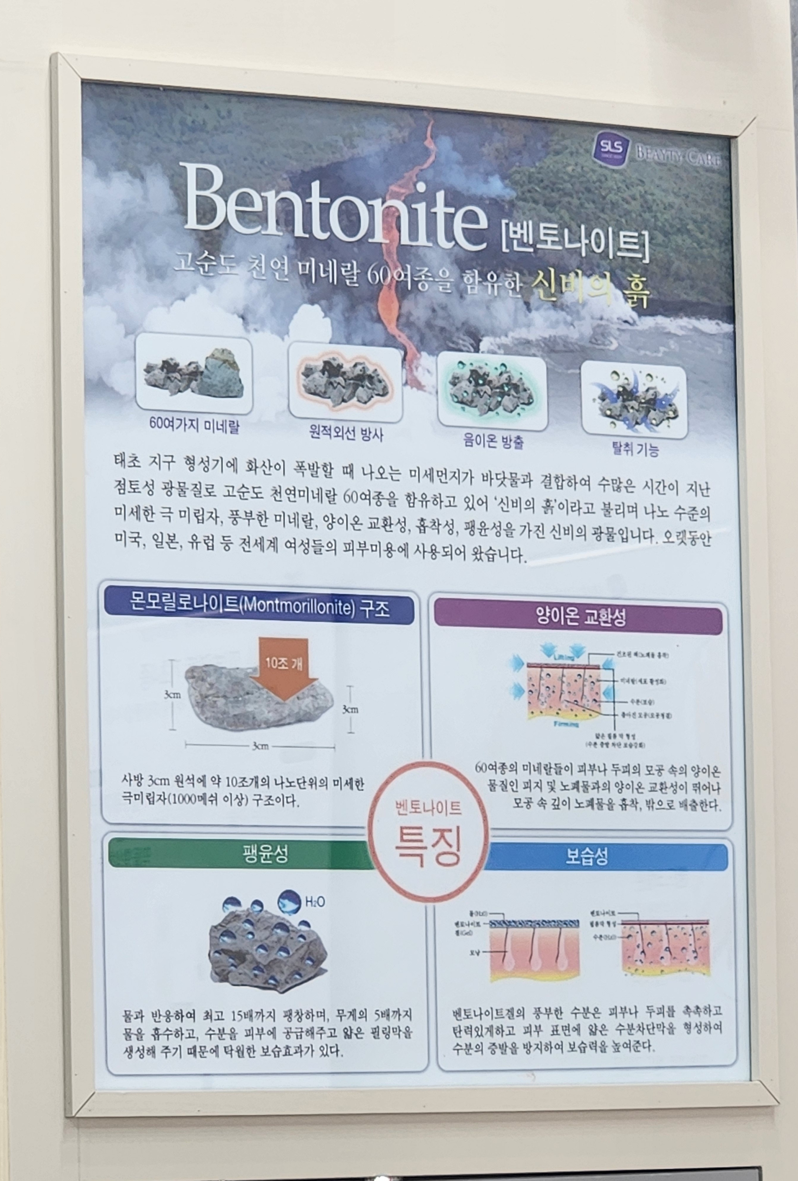 구피샵 대구만촌점