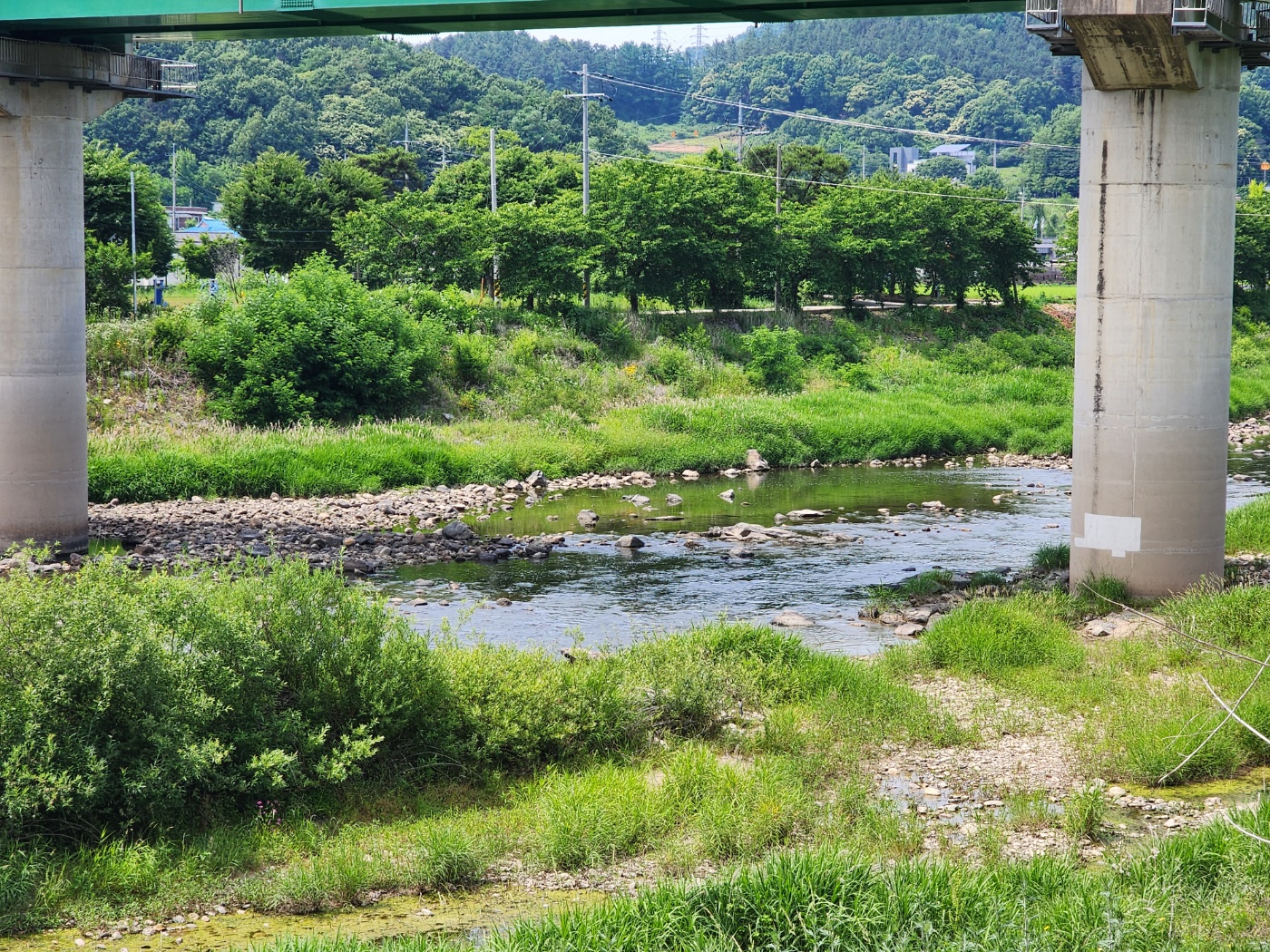 이지럽