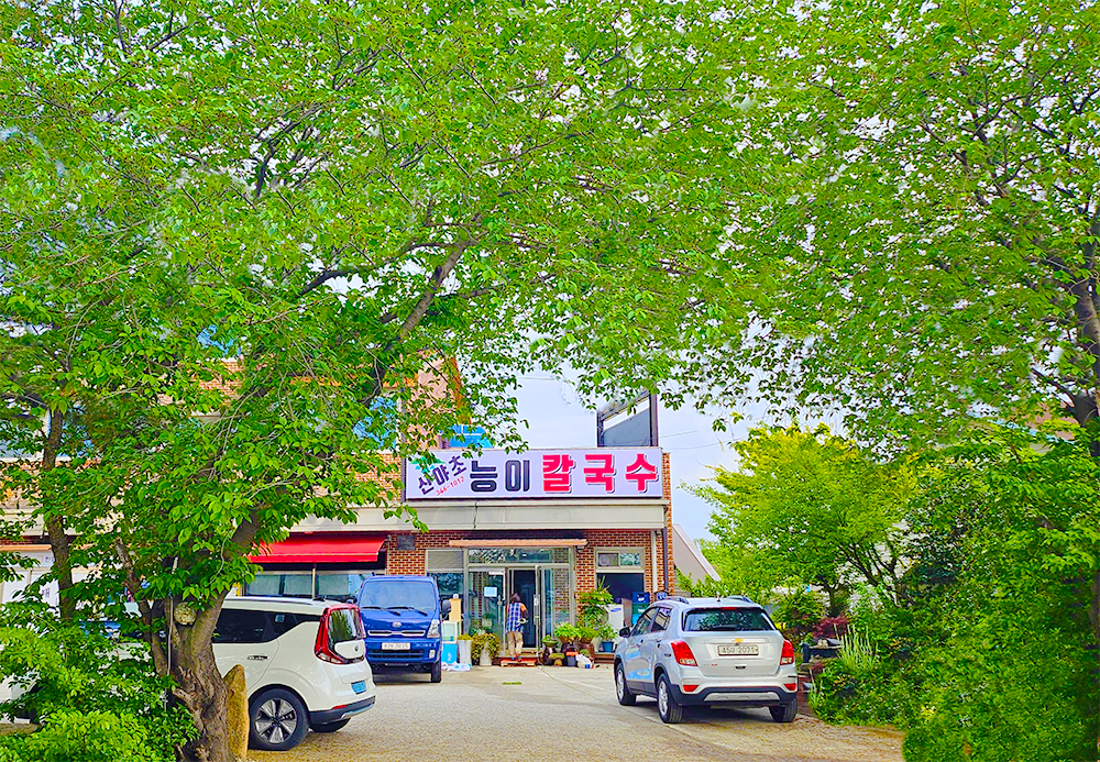 산야초능이칼국수
