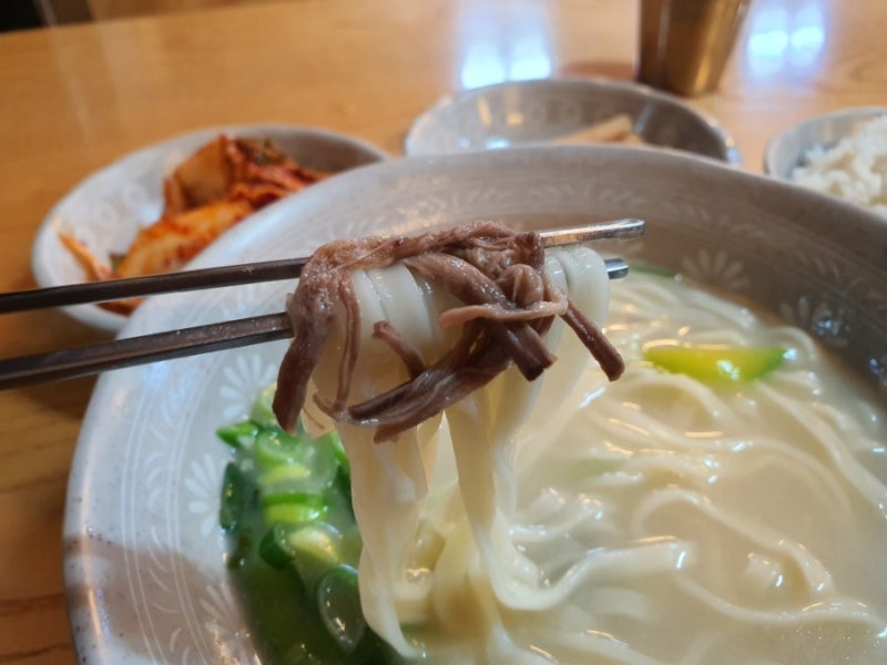 둥지칼국수