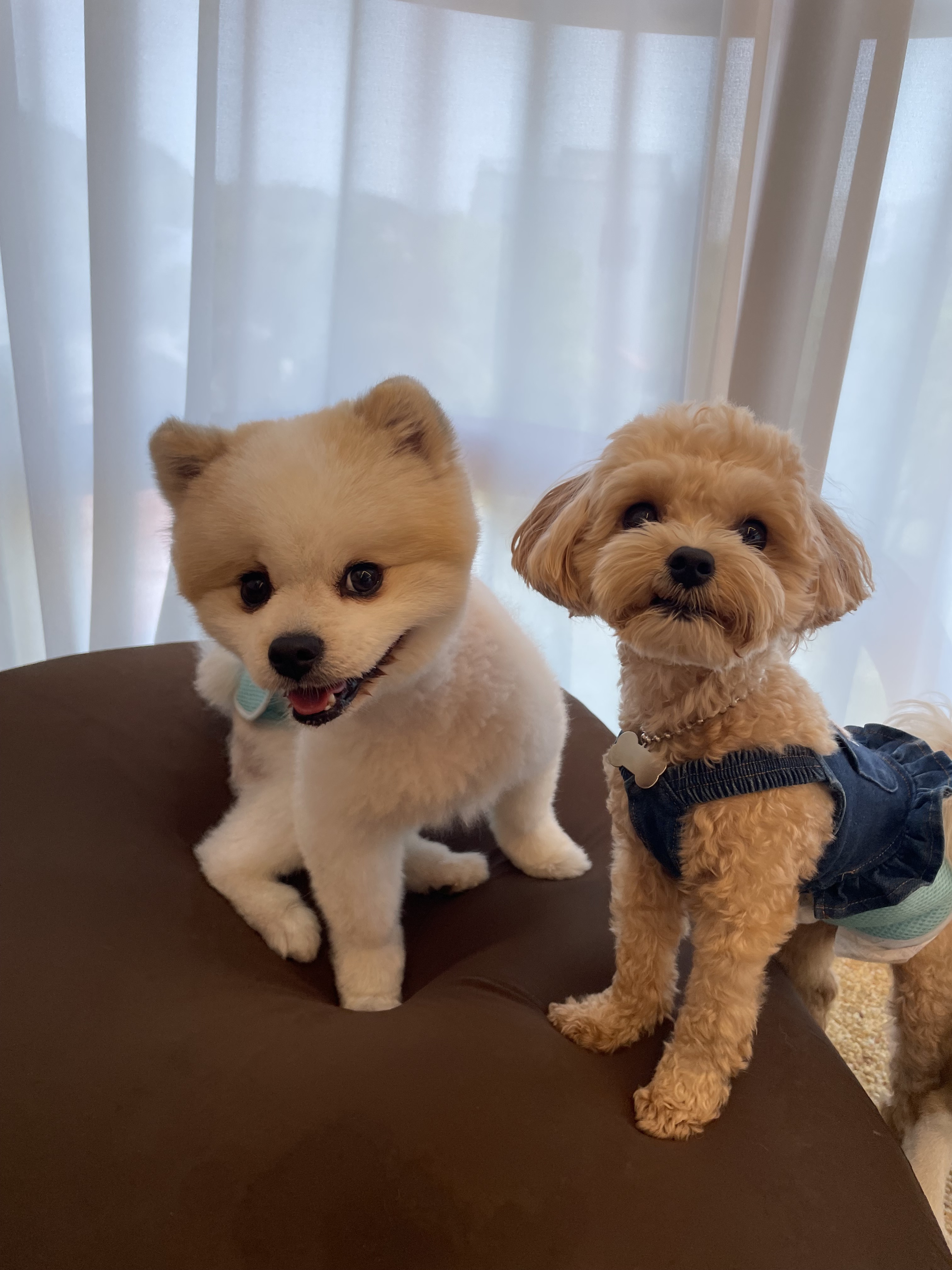 더하우스 대표 이미지