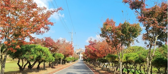 명은노인전문요양원