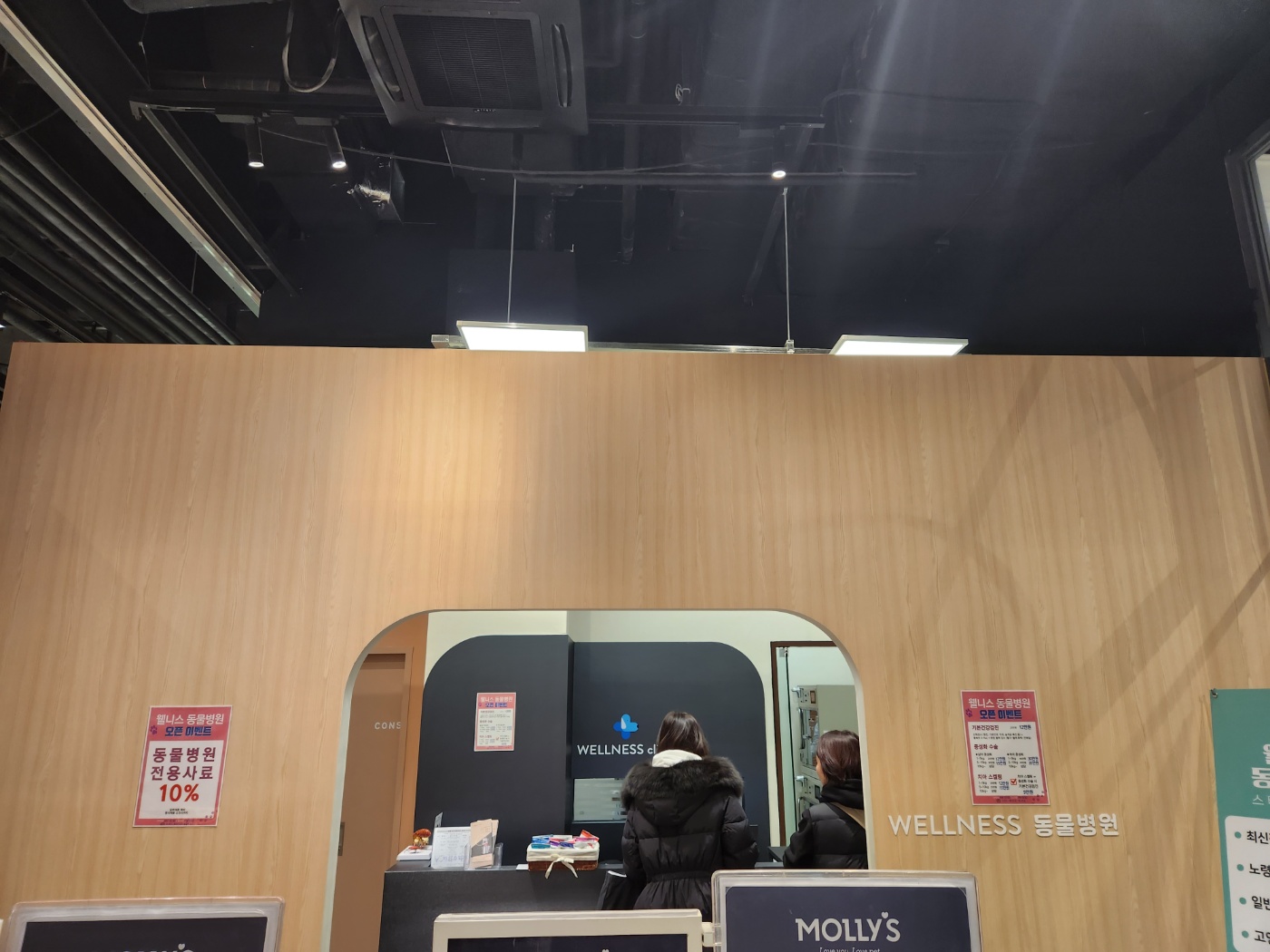 웰니스동물병원 대표 이미지