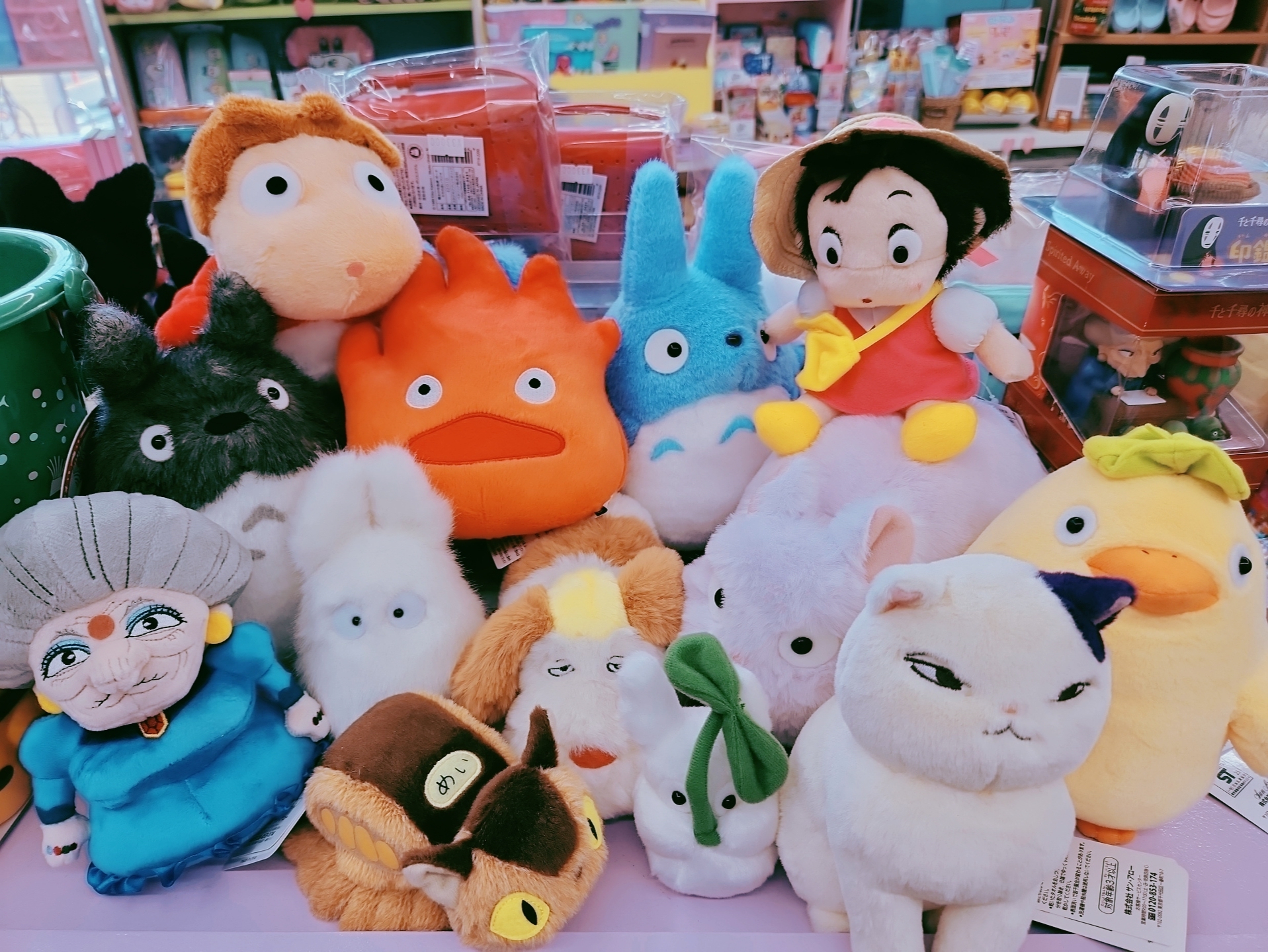 안녕지지 대표 이미지