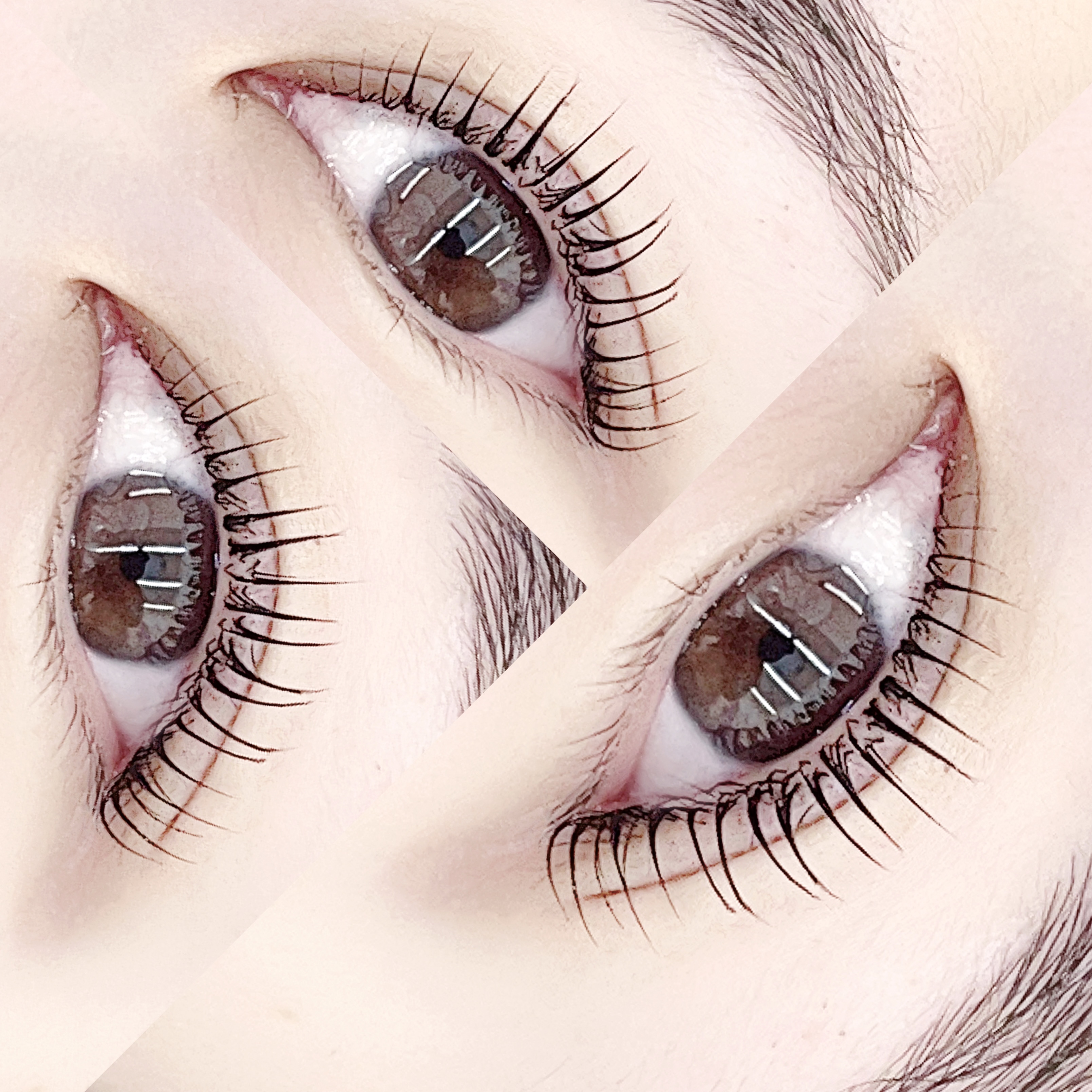 한올브로우 대표 이미지