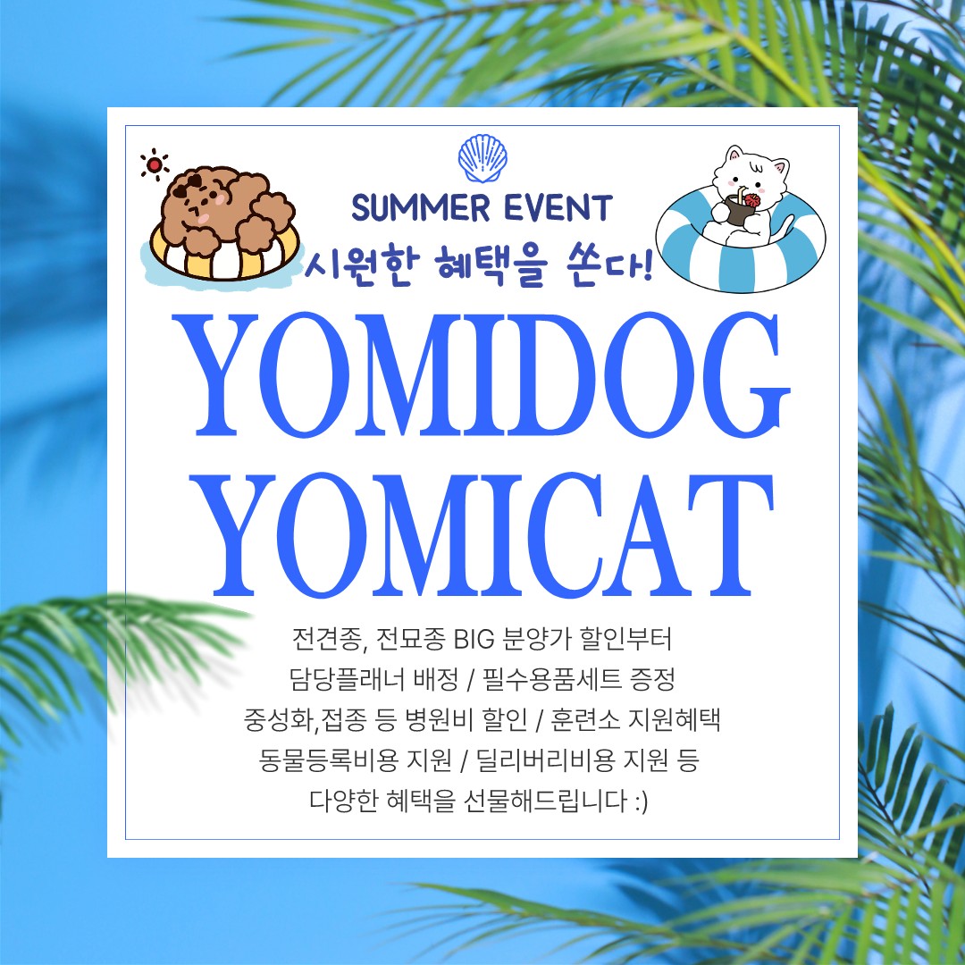 요미독 강아지 요미캣 고양이 대전점