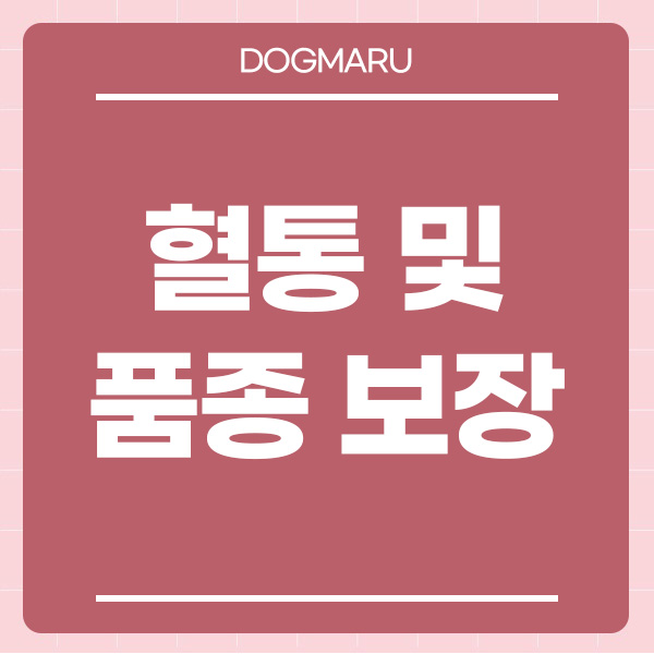 도그마루 강아지고양이 부산점