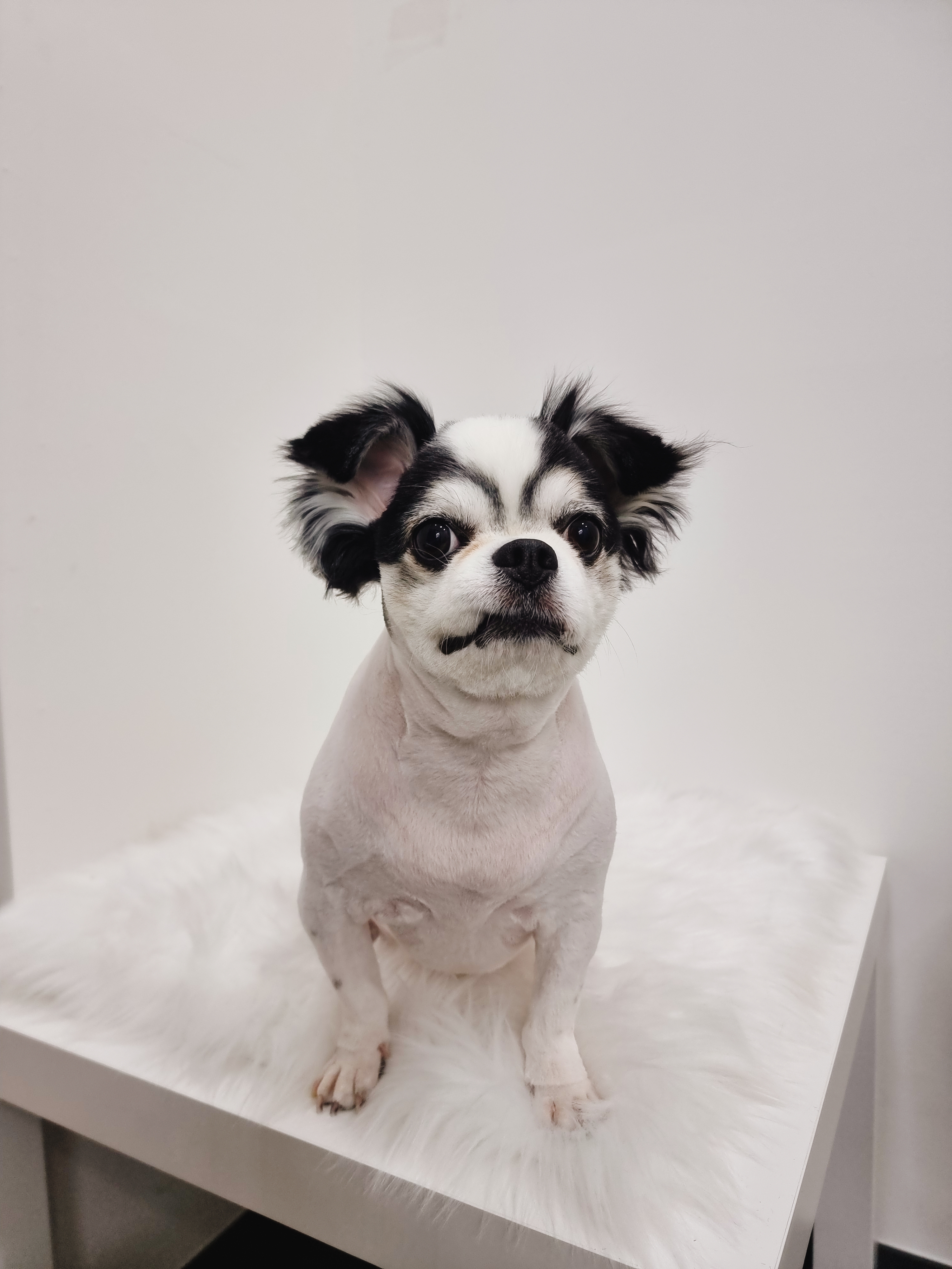 가젤하우스 대표 이미지