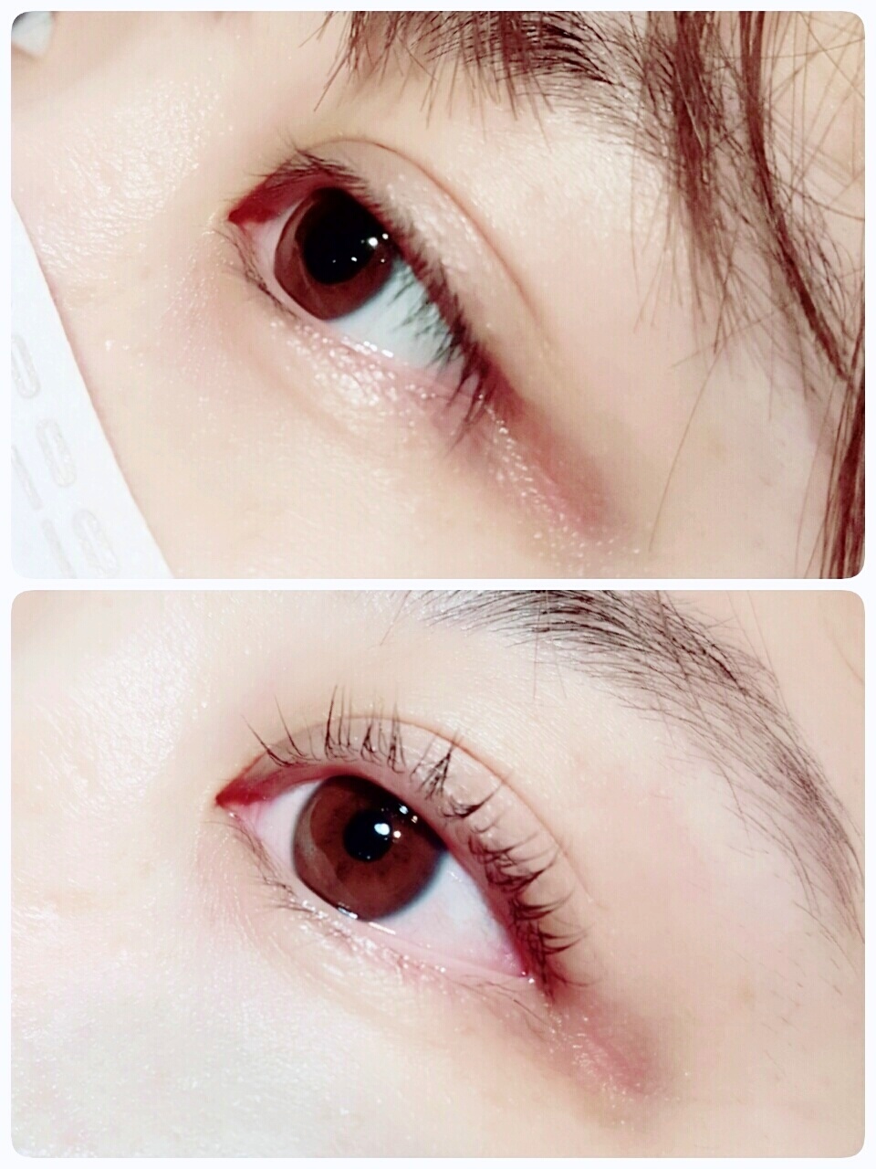 바비컬 속눈썹 대표 이미지