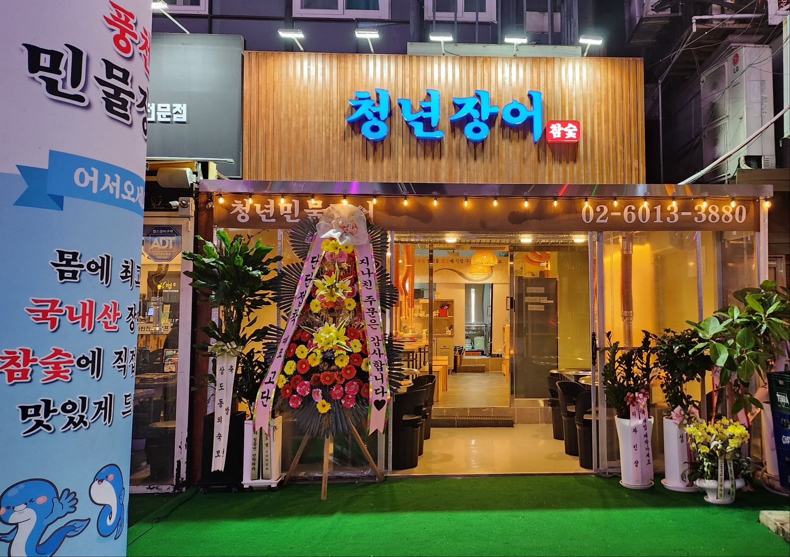 청년장어