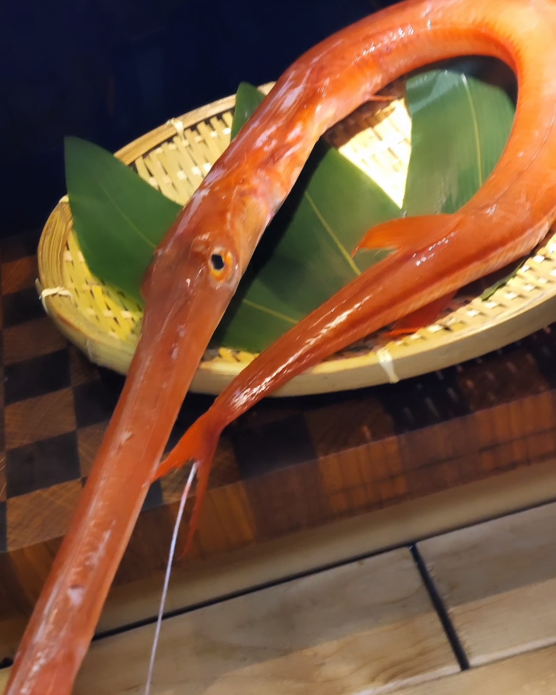 스시코쿠라