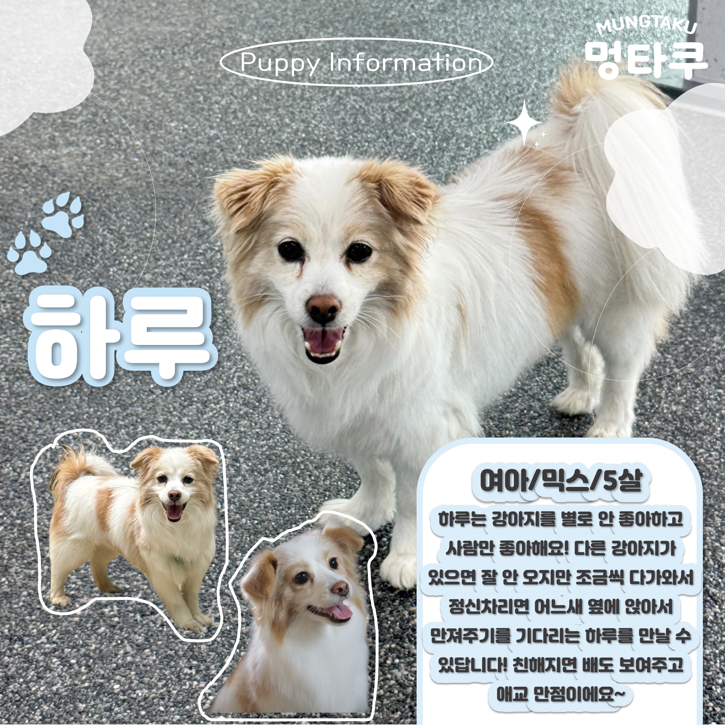멍타쿠 2