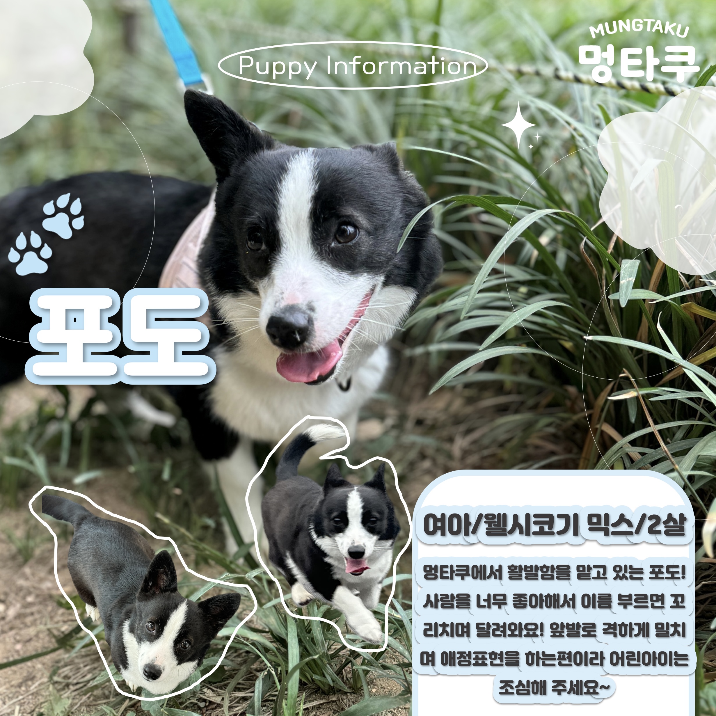 멍타쿠 대표 이미지