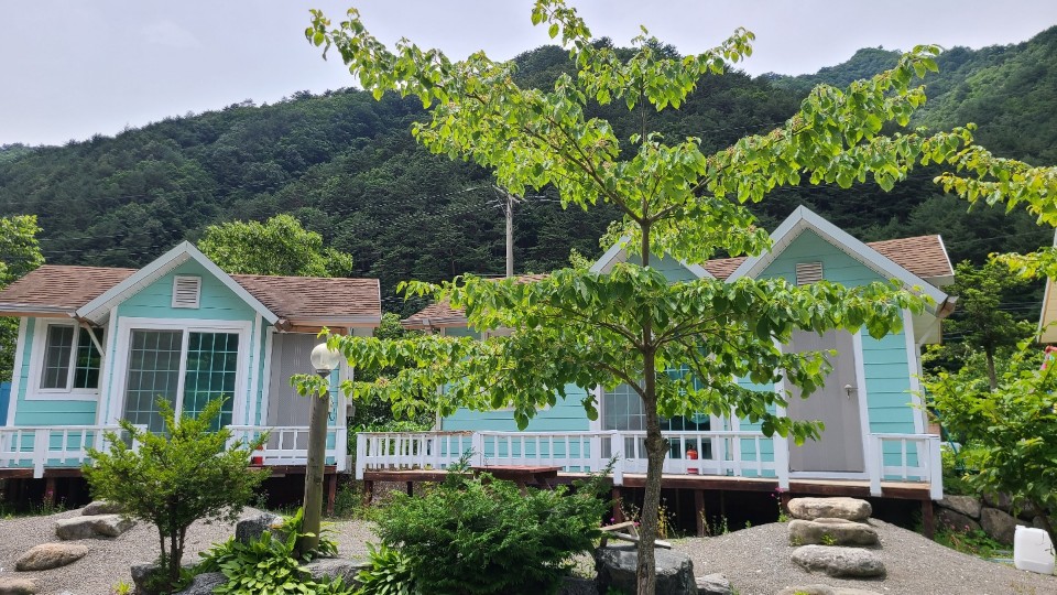 골짜구니펜션