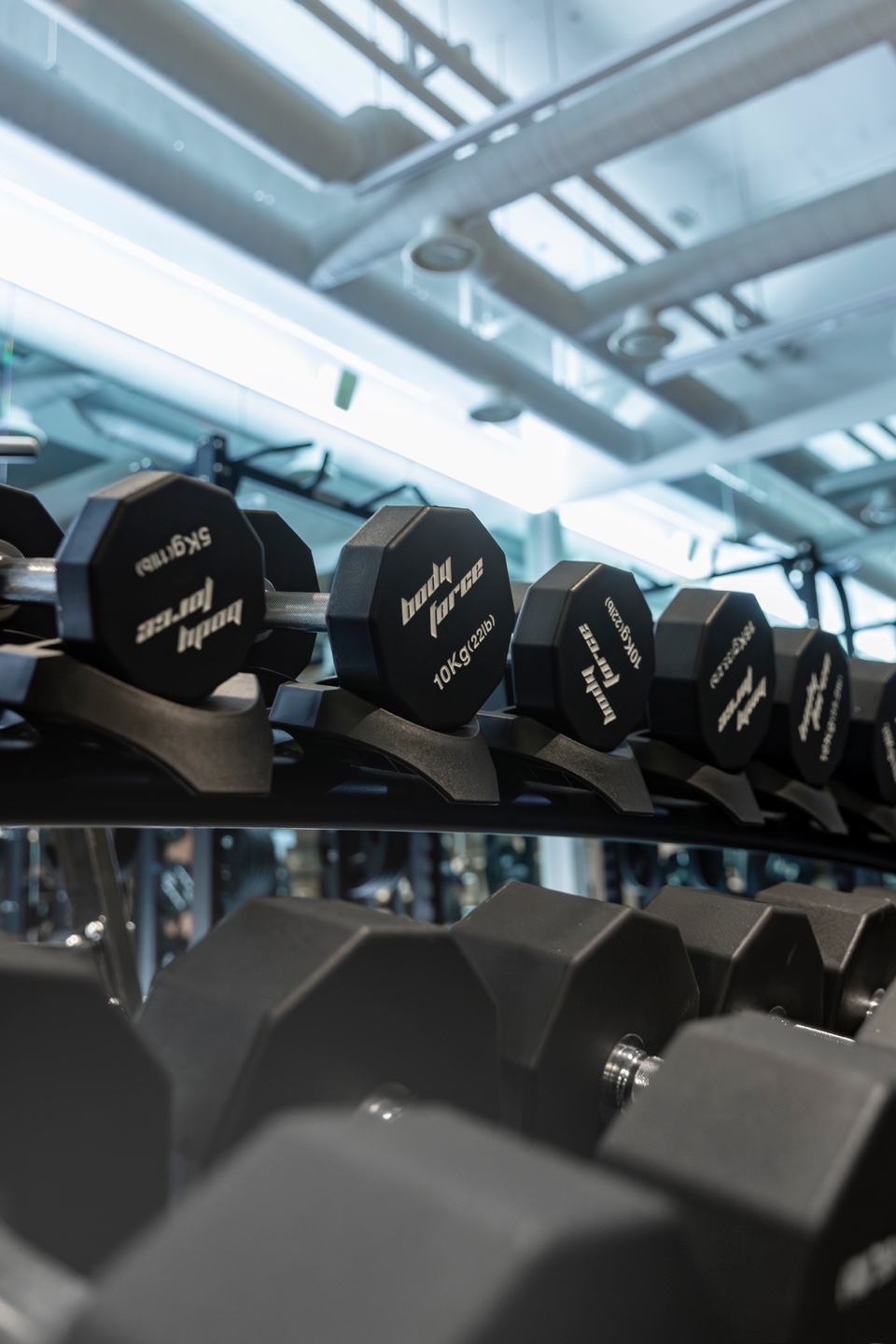 올데이짐 대표 이미지