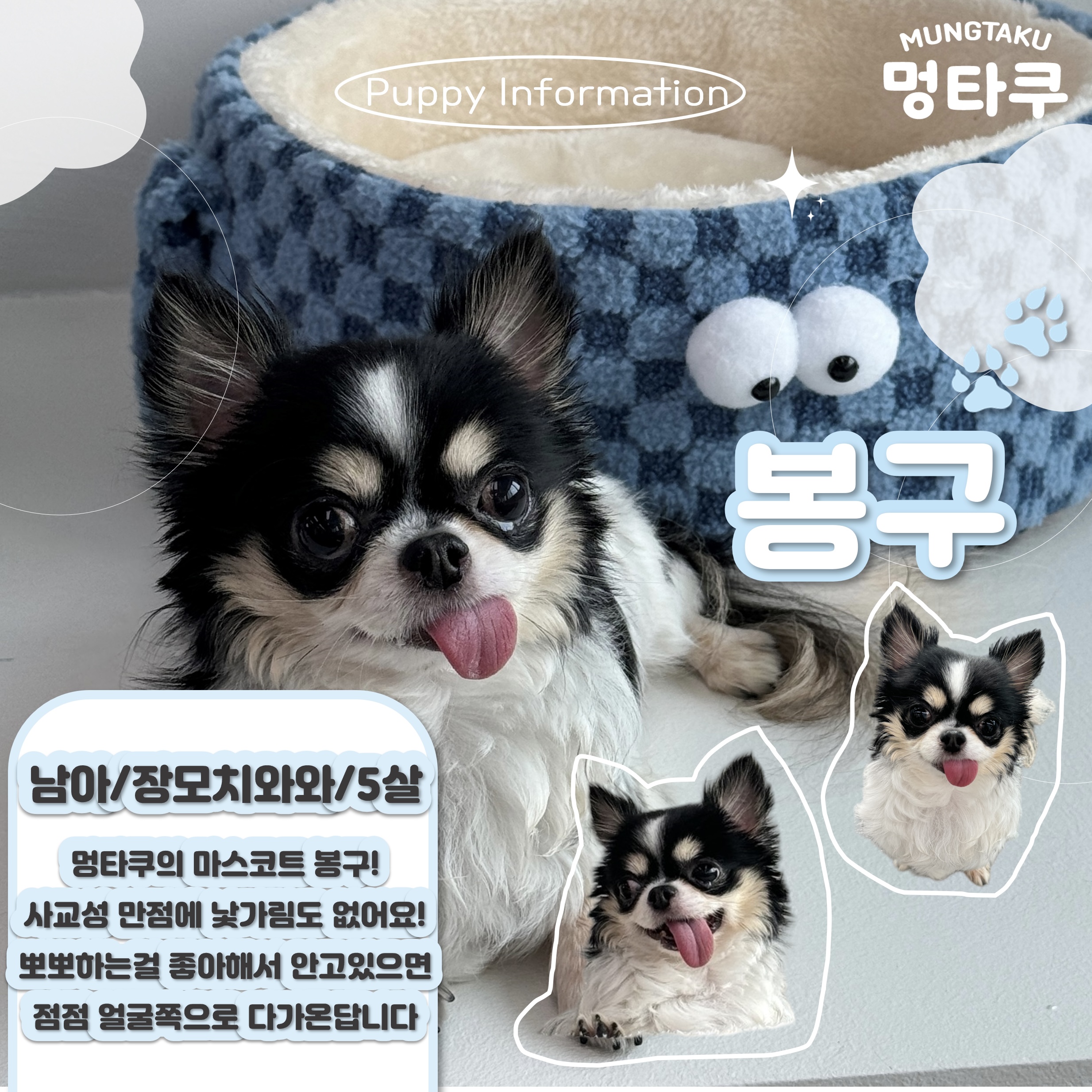 멍타쿠 애견카페 & 애견호텔 대표 이미지