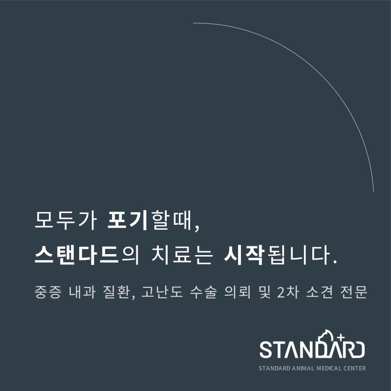 24시스탠다드동물의료센터