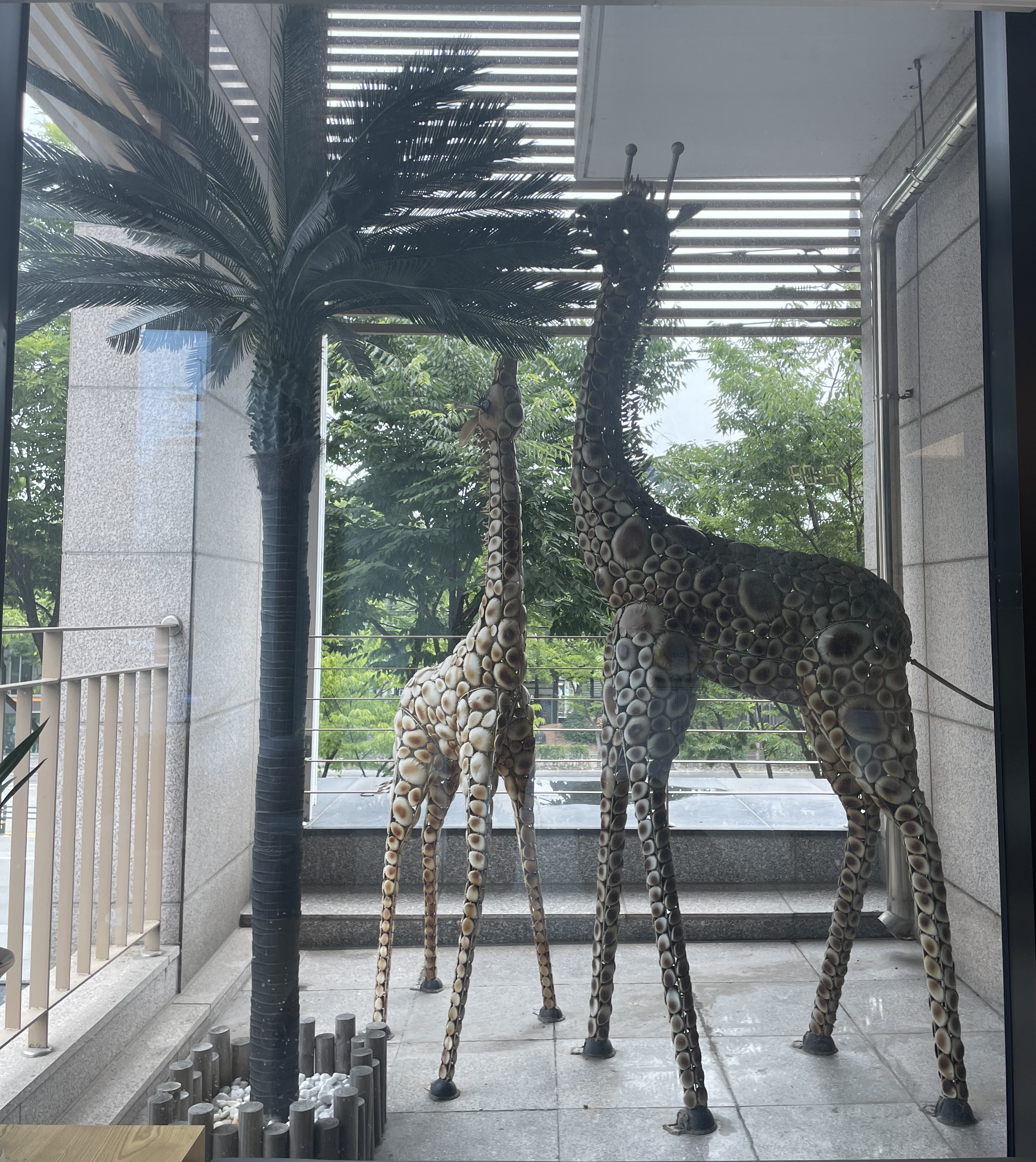 두리이비인후과의원 대표 이미지