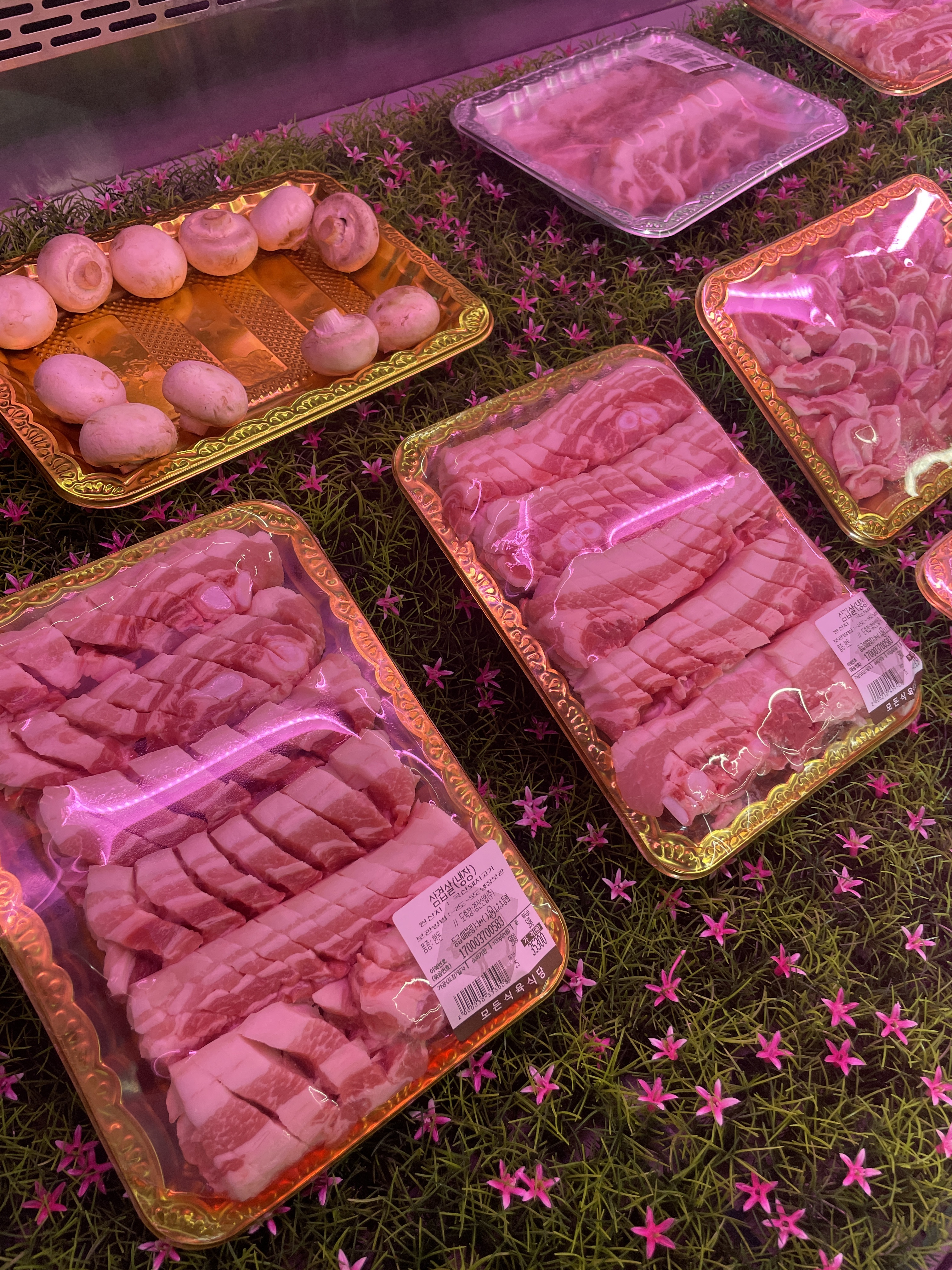 모든식육식당