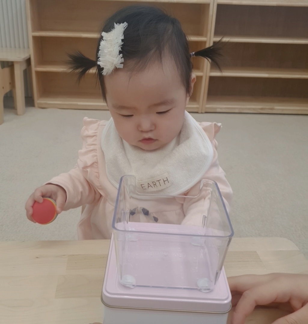 마더스몬테소리 강남교육원