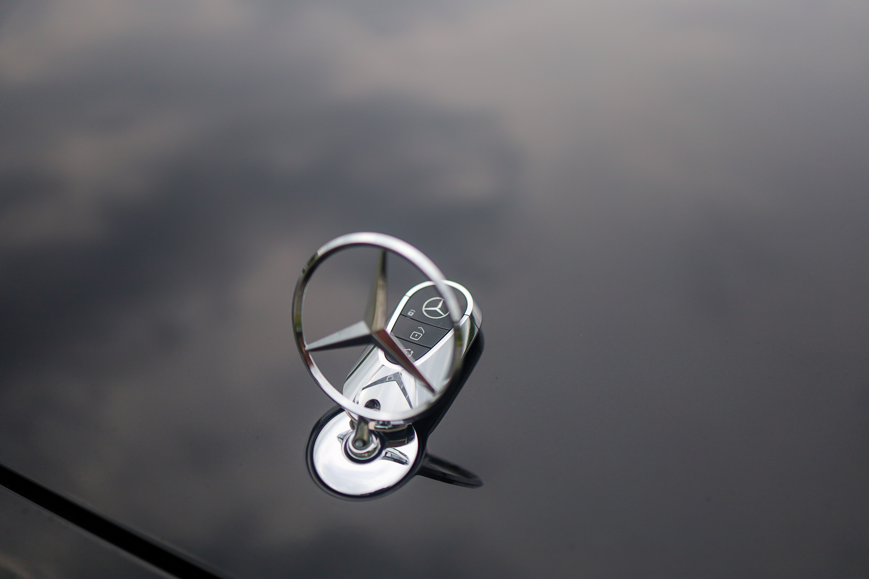 마이오토 세종점 대표 이미지