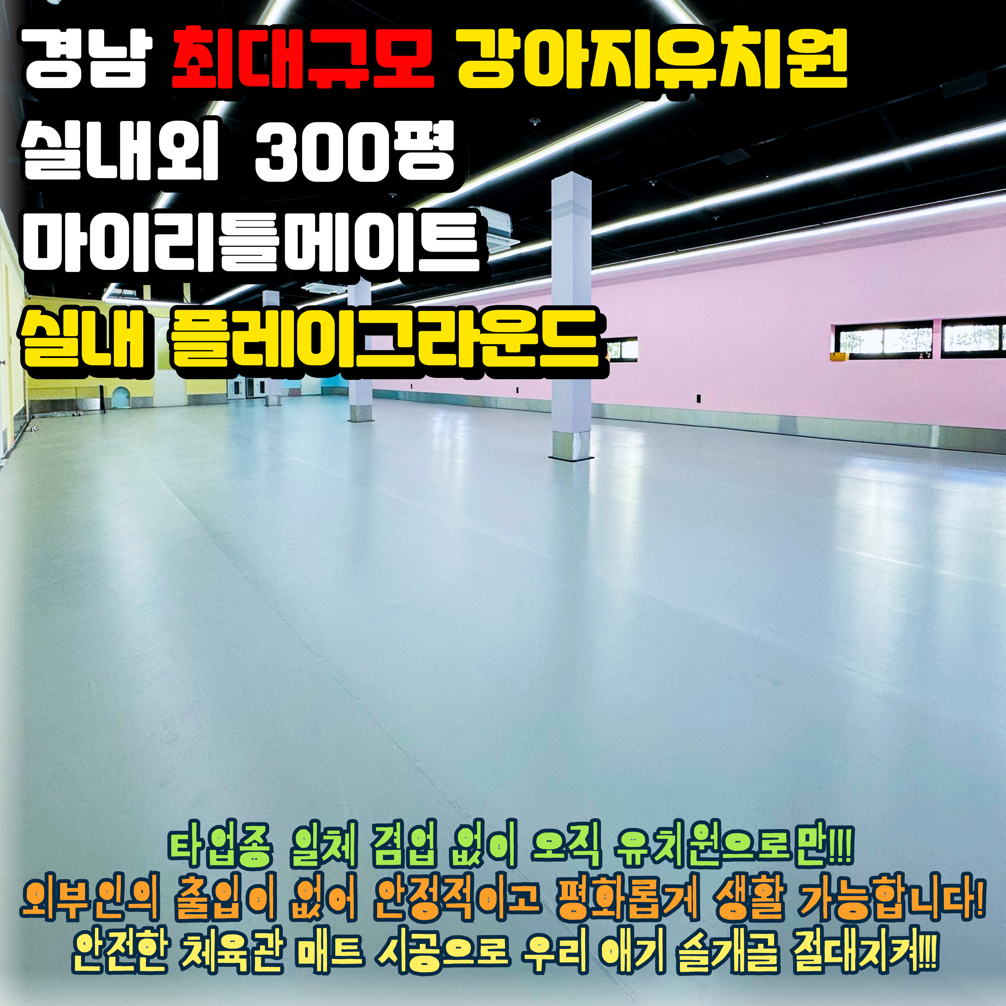 마이리틀메이트 대표 이미지