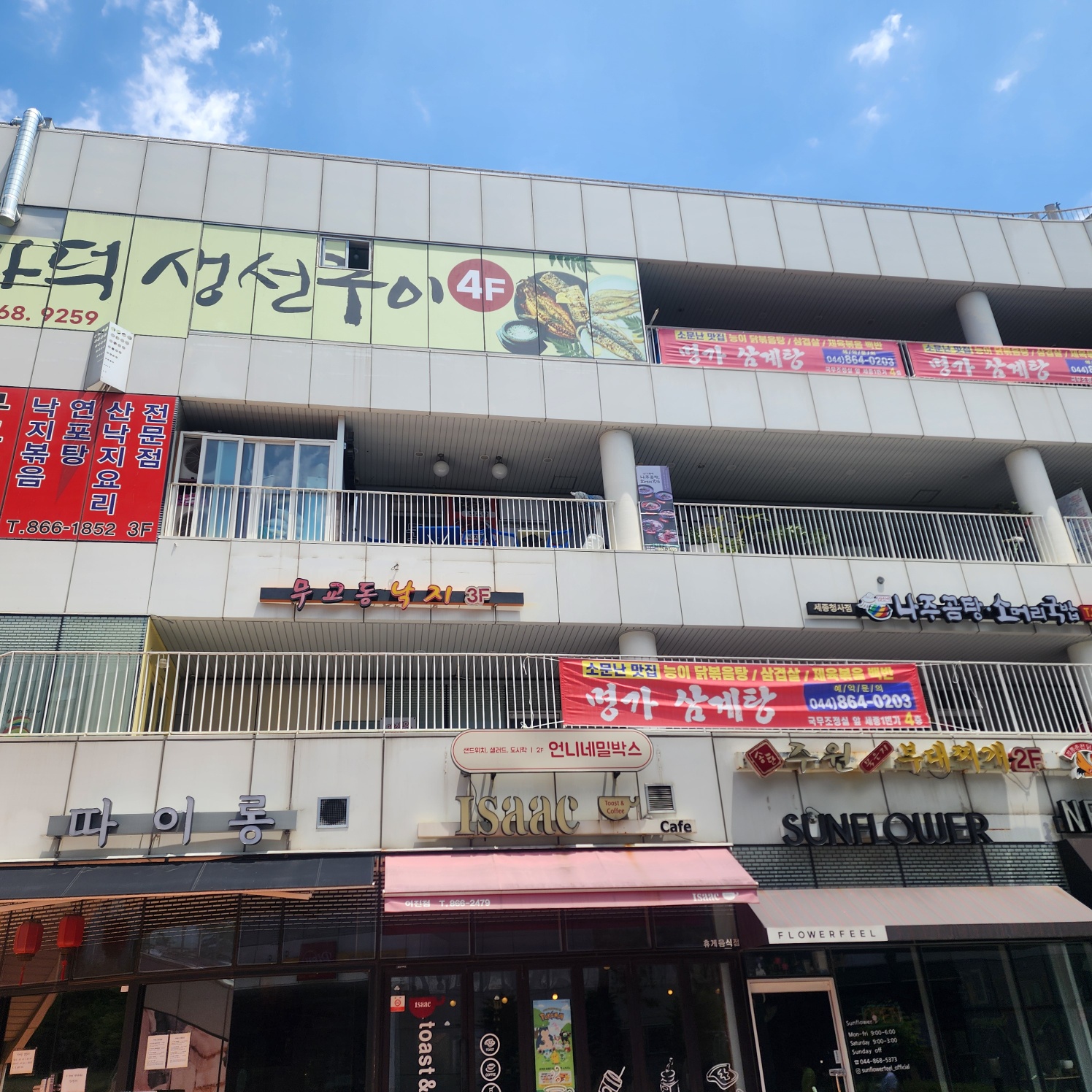 무교동본가낙지