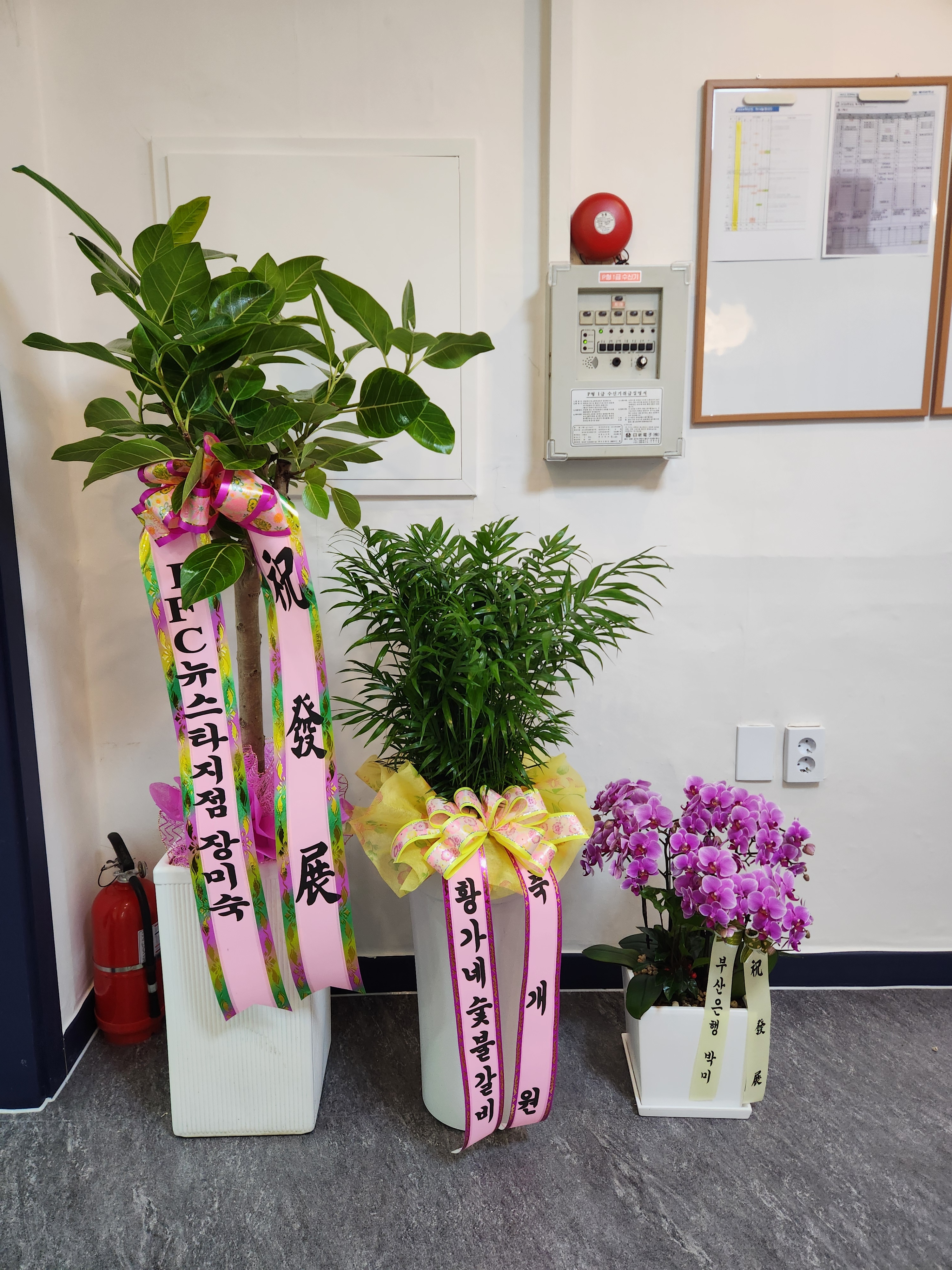 혜윰수학학원 대표 이미지