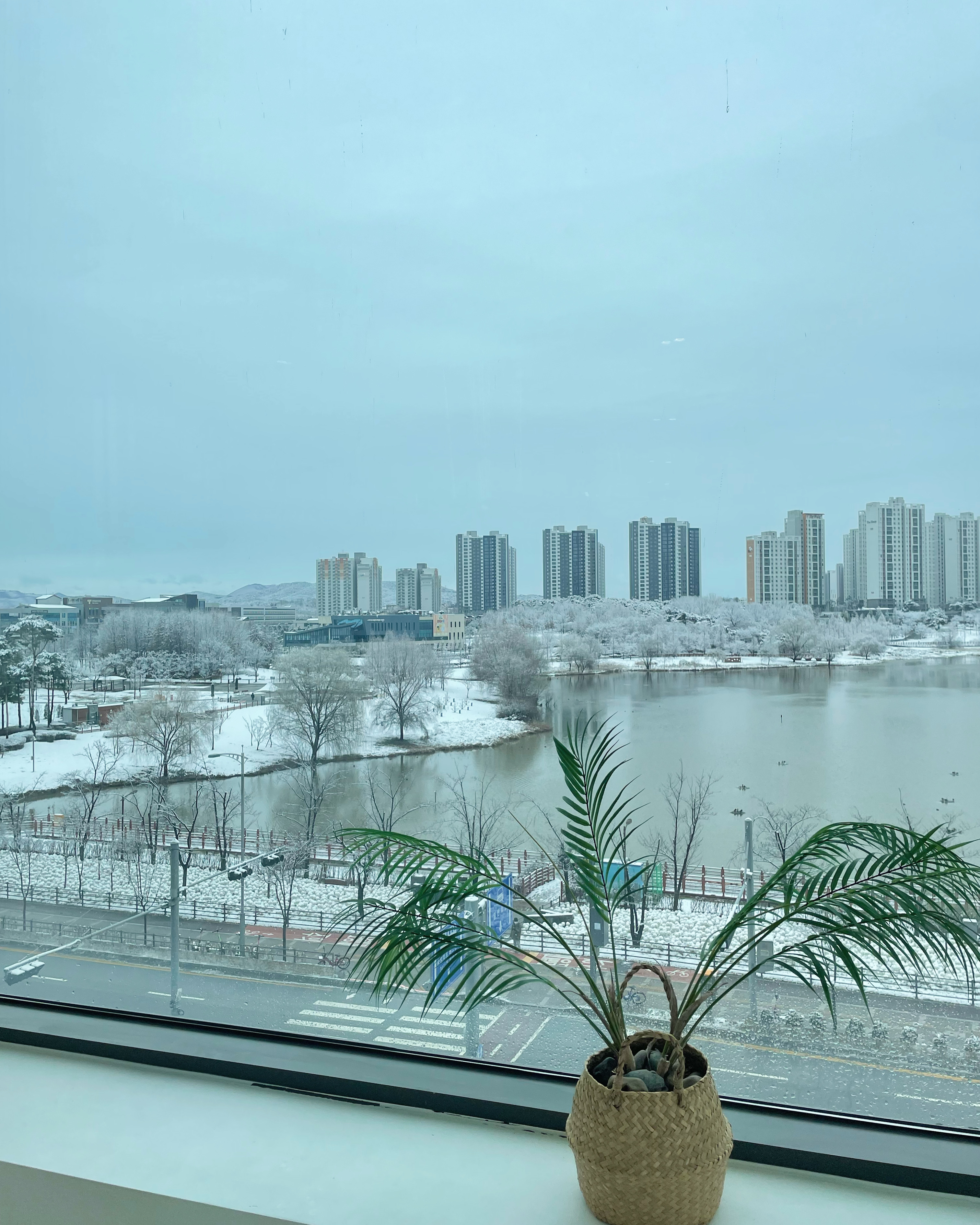 리포윅스 슈가링왁싱 평택점