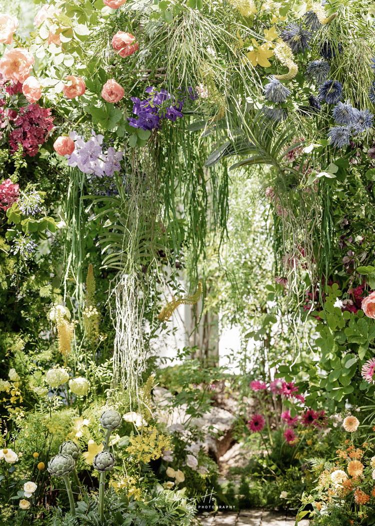 앨리스몽드 대표 이미지