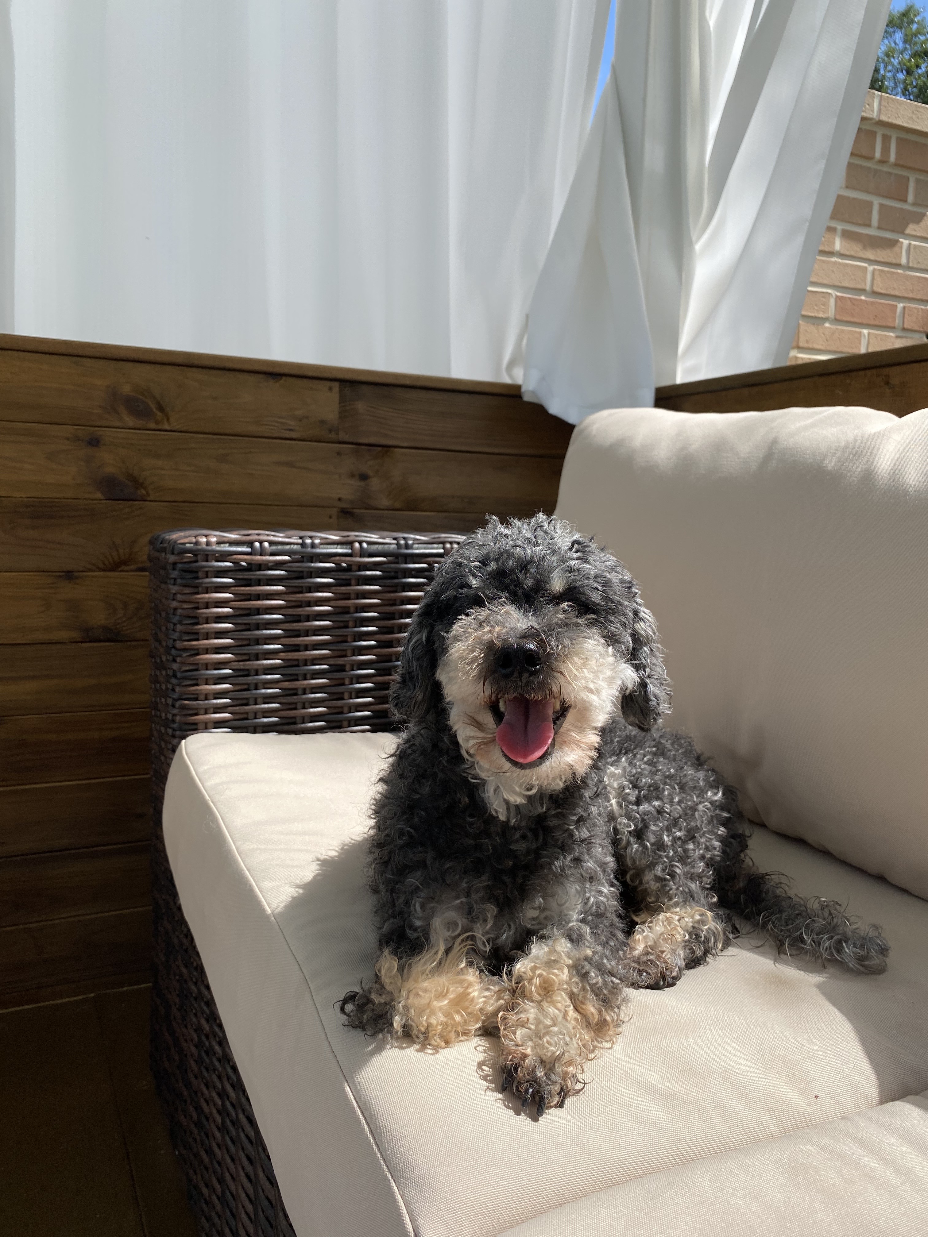 팔레드차밍 드링킹풀 대표 이미지