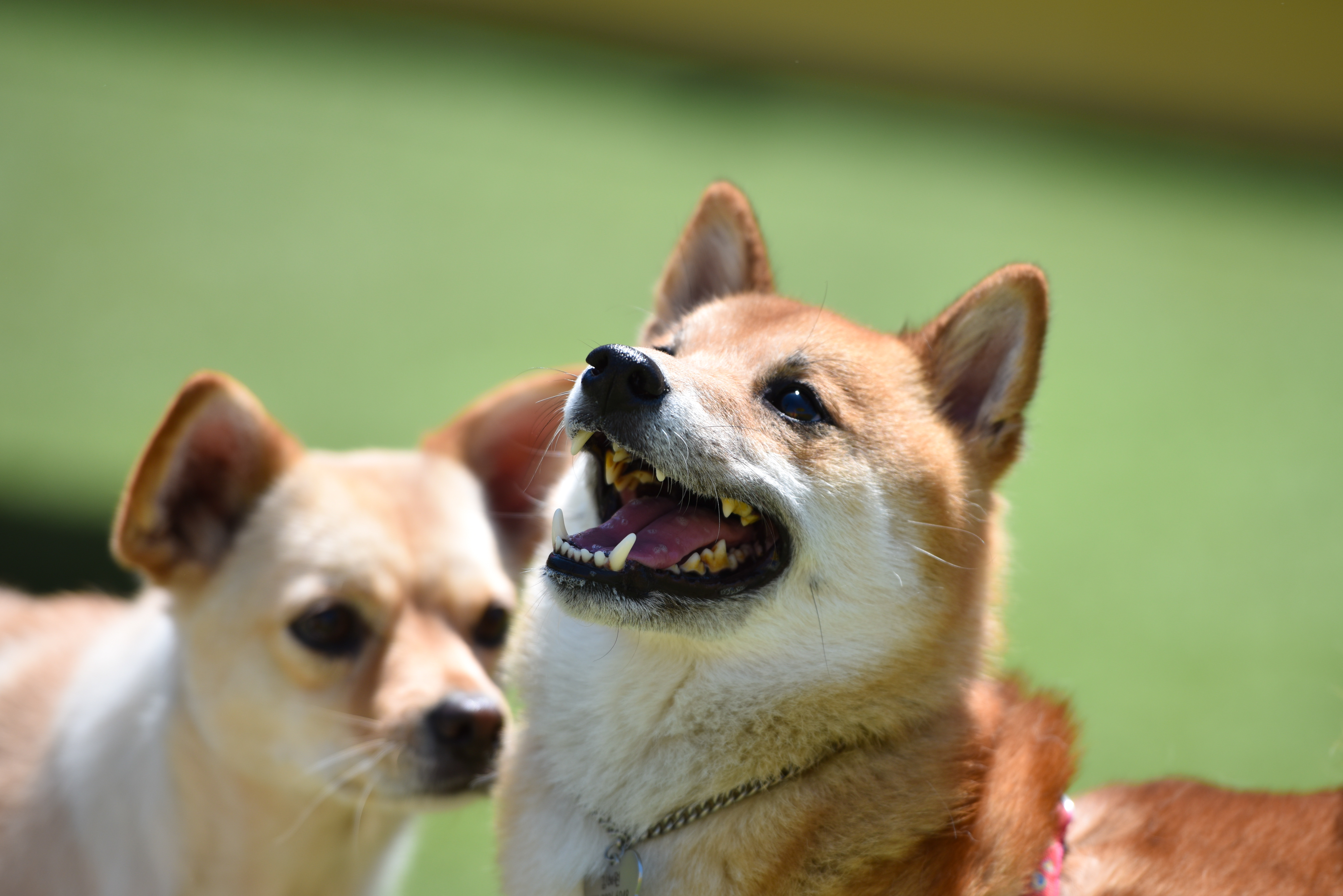 라울레미 하우스 대표 이미지