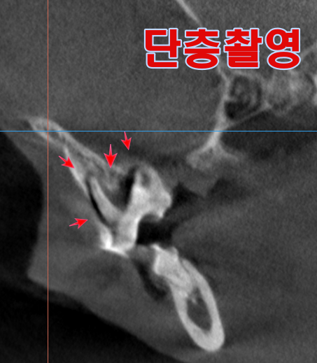 장승준동물치과병원 대표 이미지