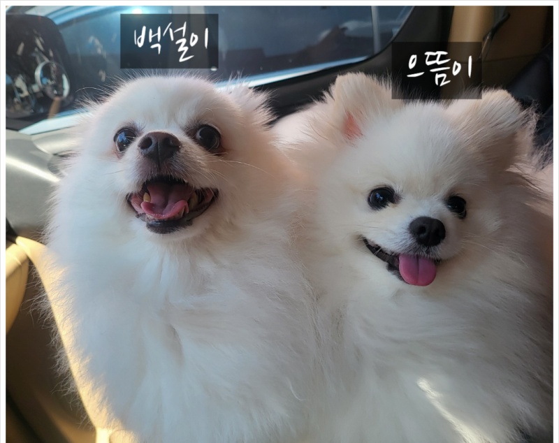 개스트하우스 대표 이미지