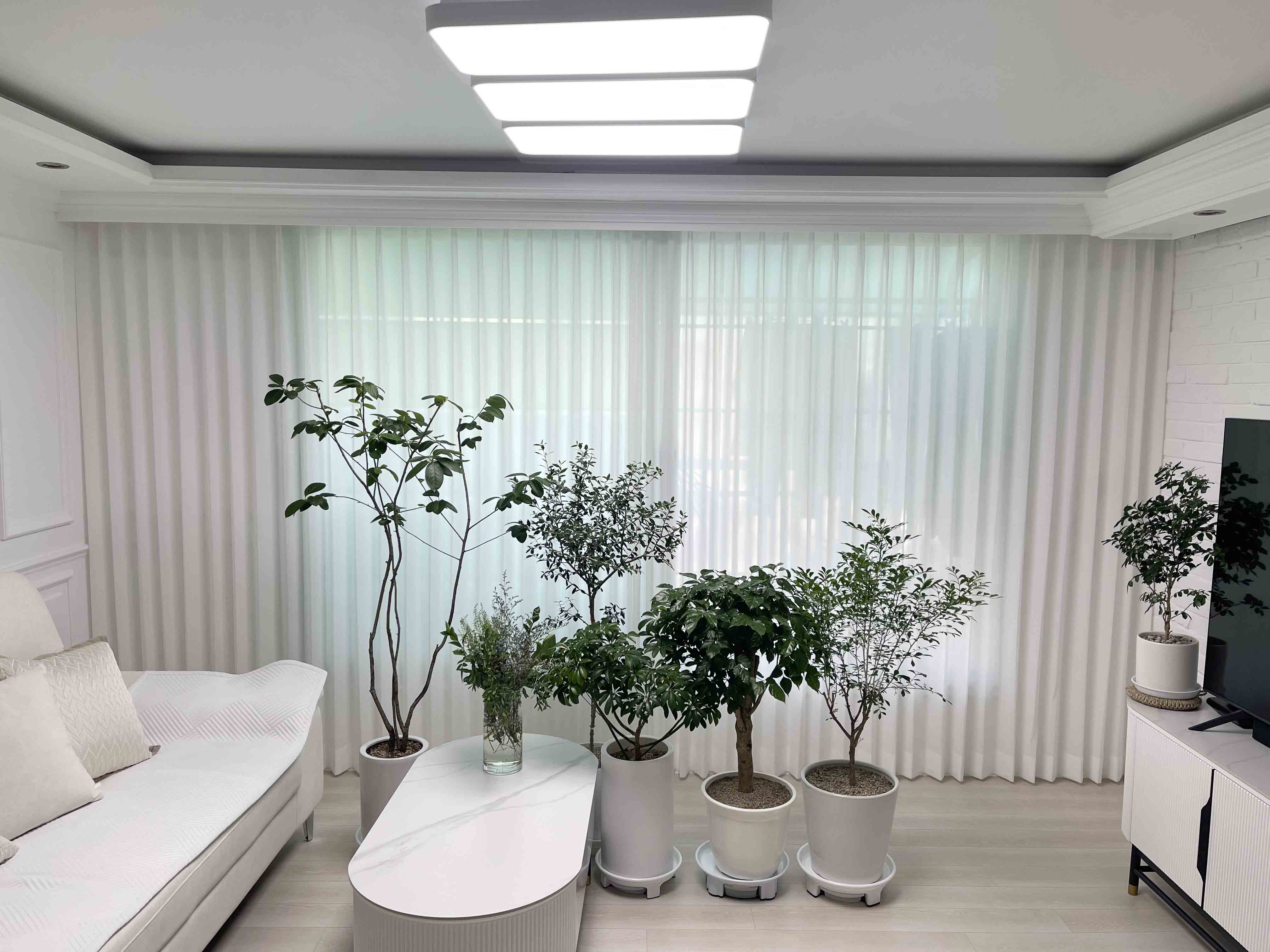 골드커튼블라인드 부평점