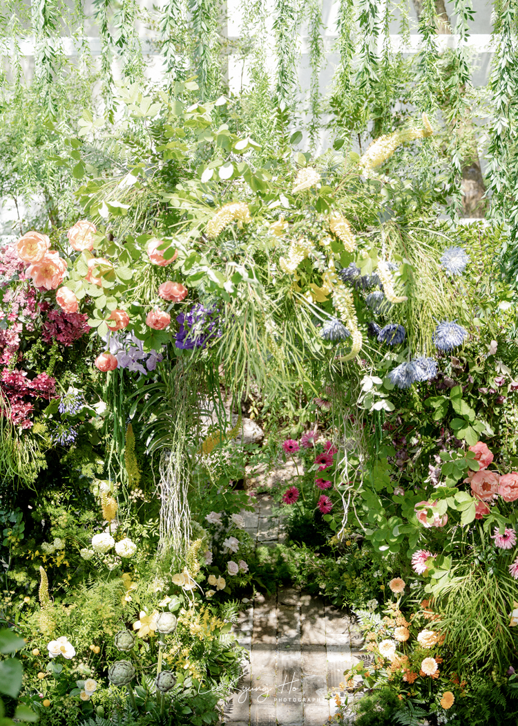 앨리스몽드 대표 이미지