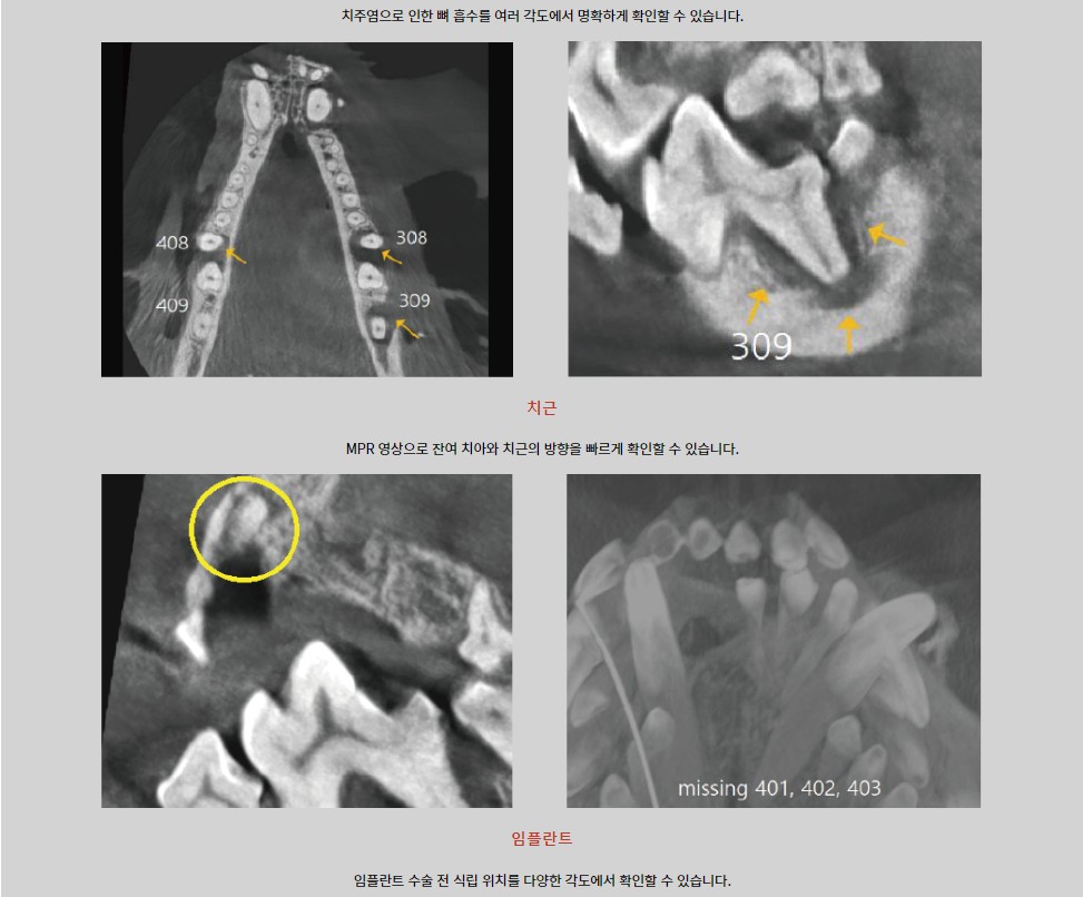 장승준동물치과병원 대표 이미지