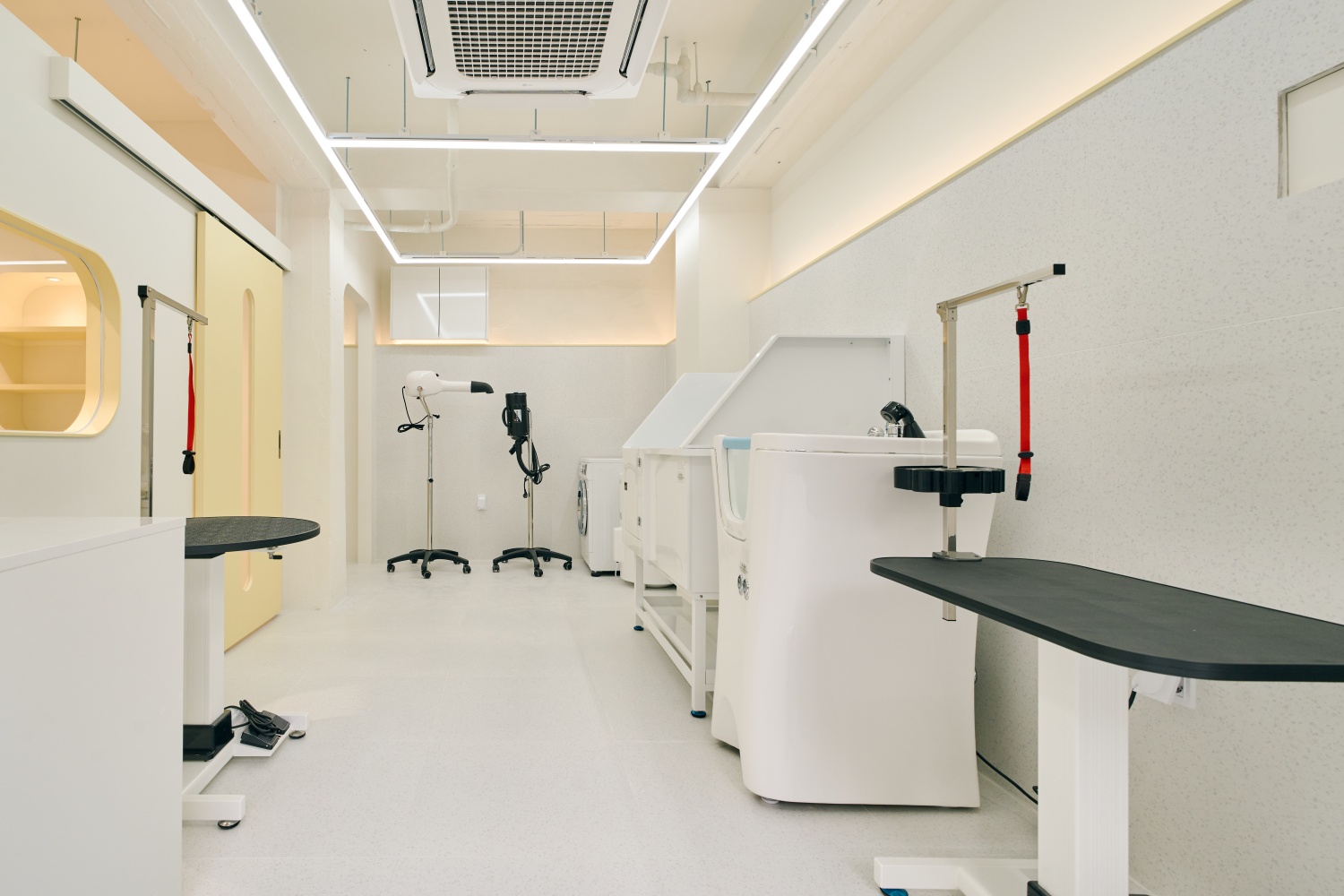 데이멍 대표 이미지