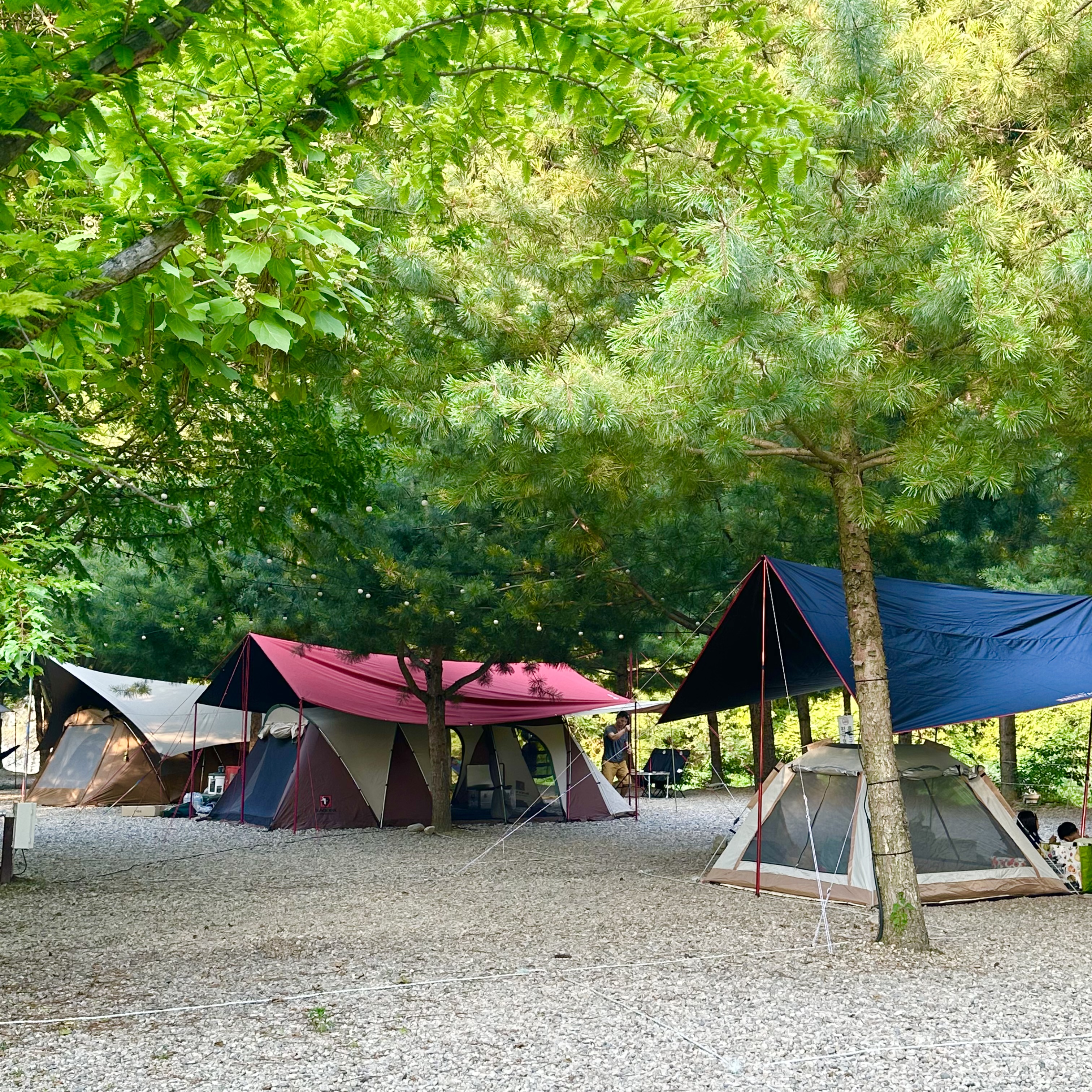 캠핑장 사진