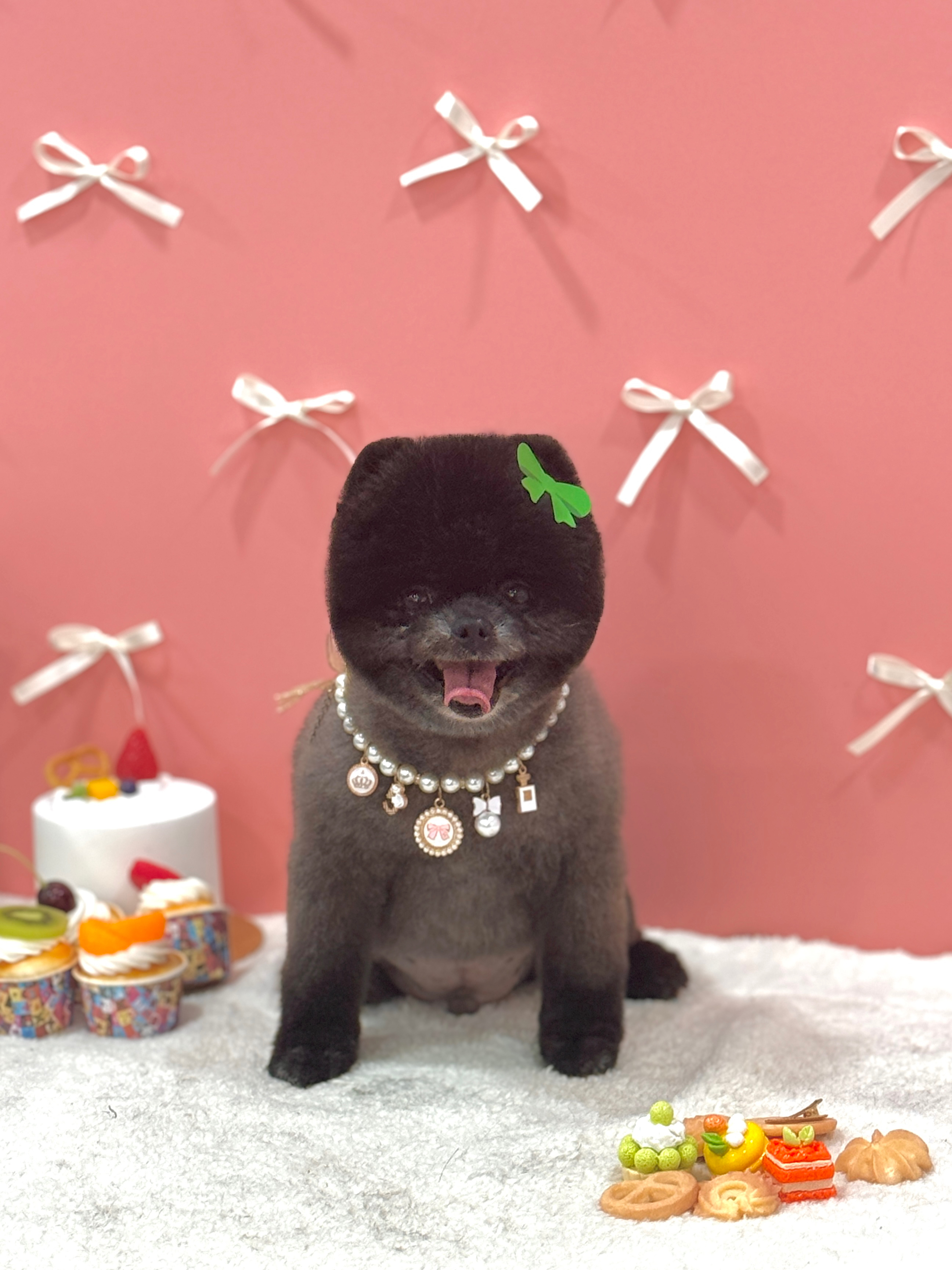 오후독 대표 이미지